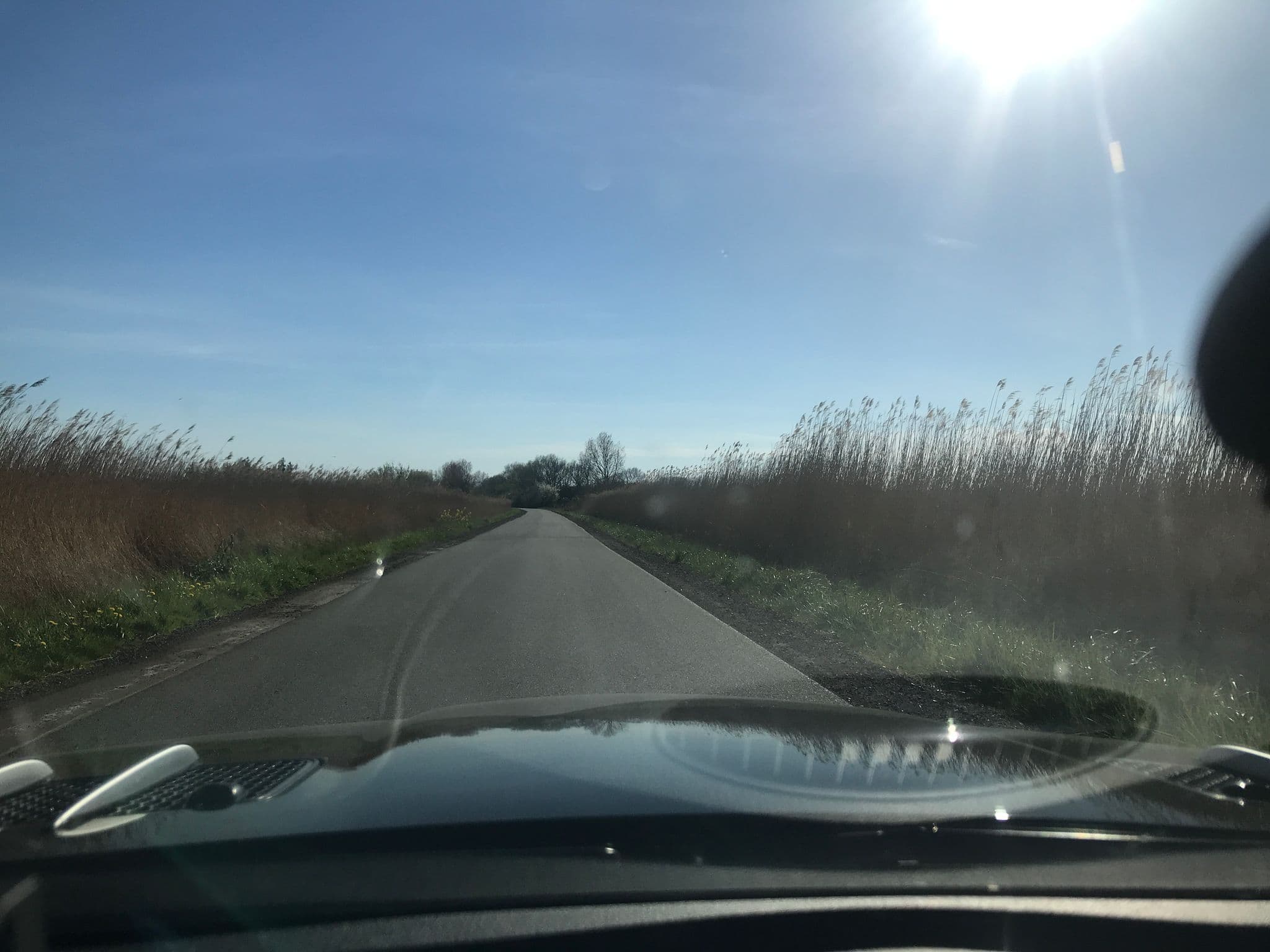 Street view near Campingplatz Flüggerteich, Grossenbrode — © saschahaberkorn (CC BY-SA · Mapillary)