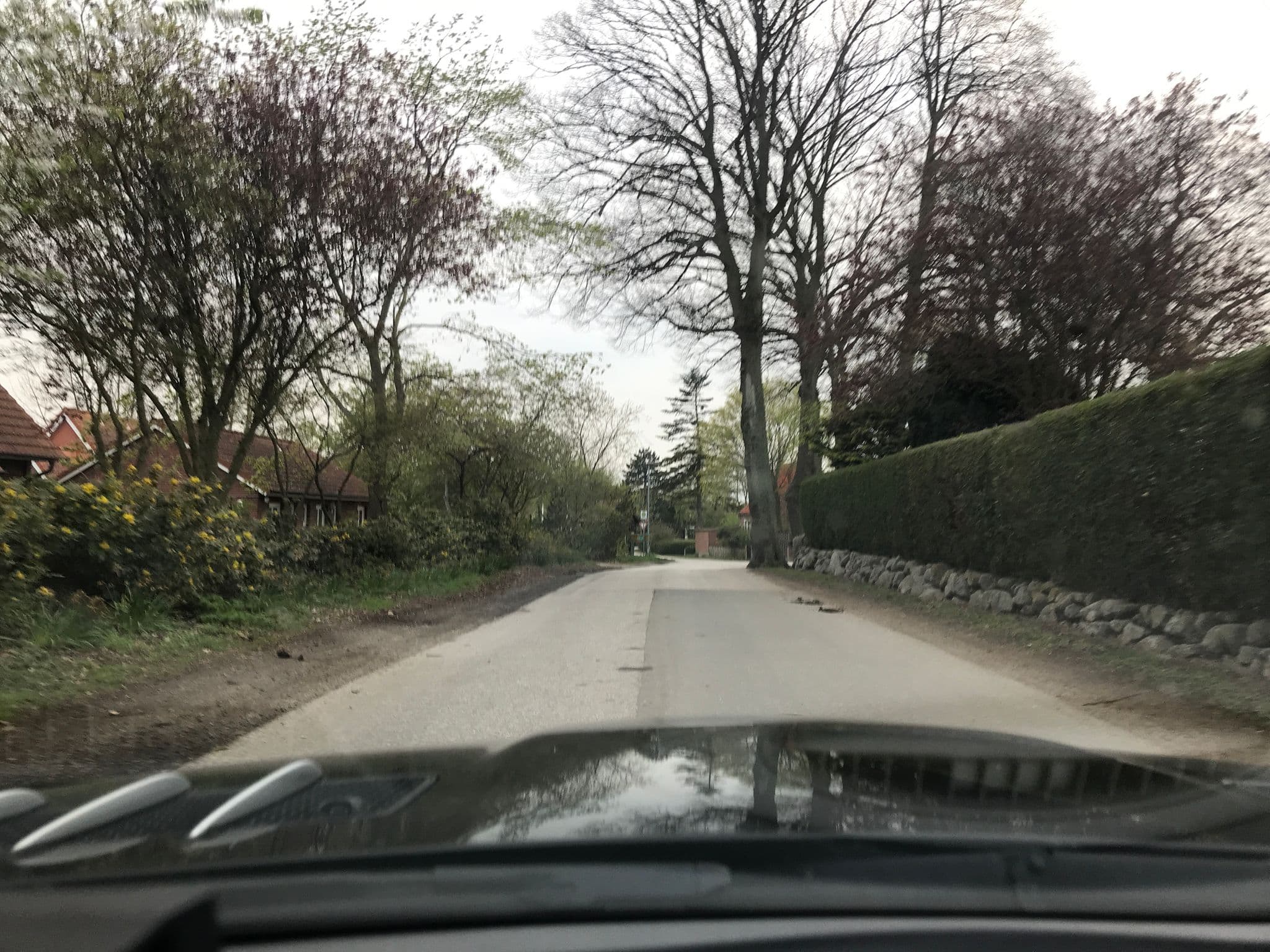 Street view near Ferienhof Höper, Fehmarn — © saschahaberkorn (CC BY-SA · Mapillary)