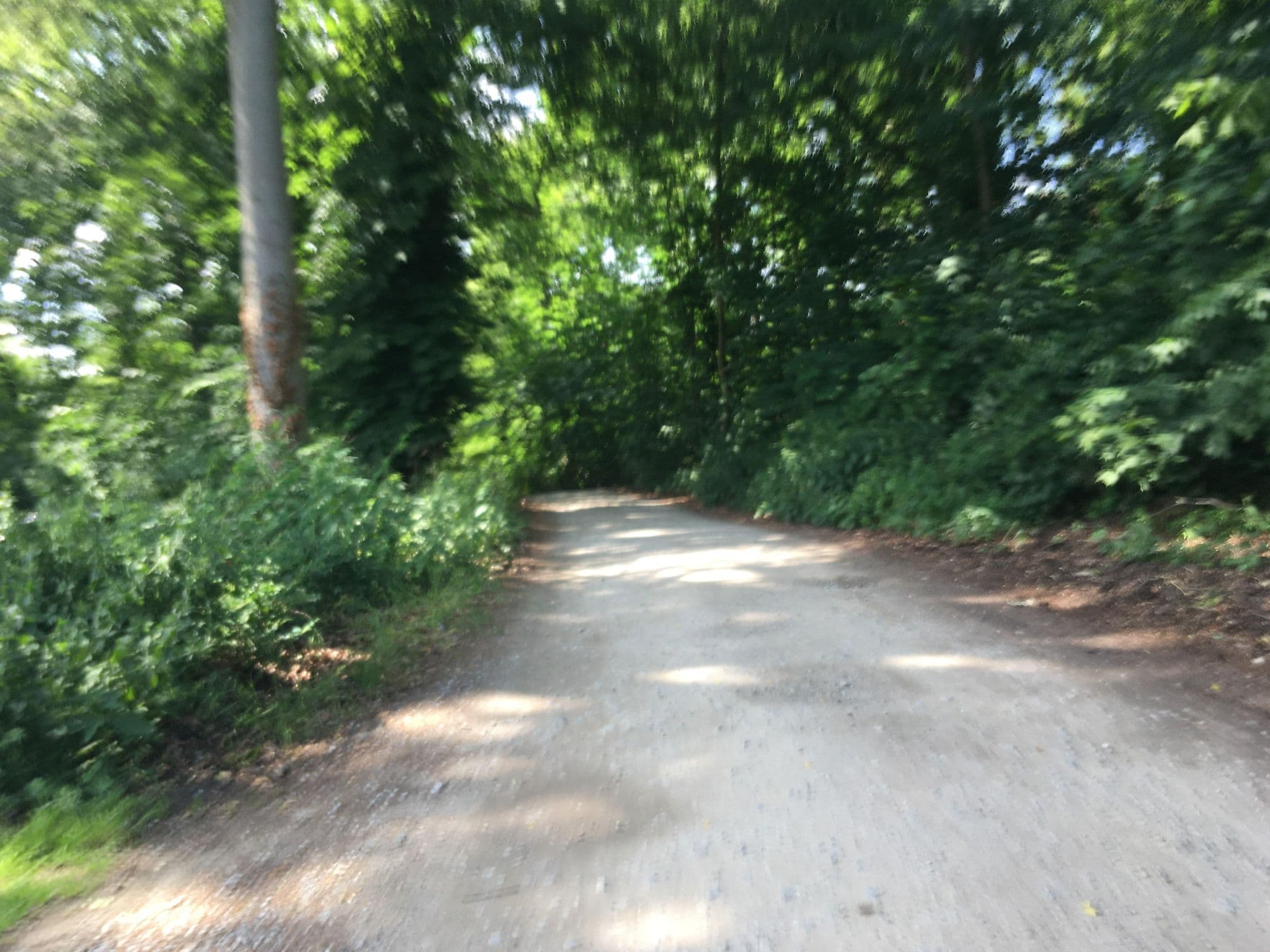 Street view near Parkchalet Potsdam, Potsdam — © carlheinz (CC BY-SA · Mapillary)