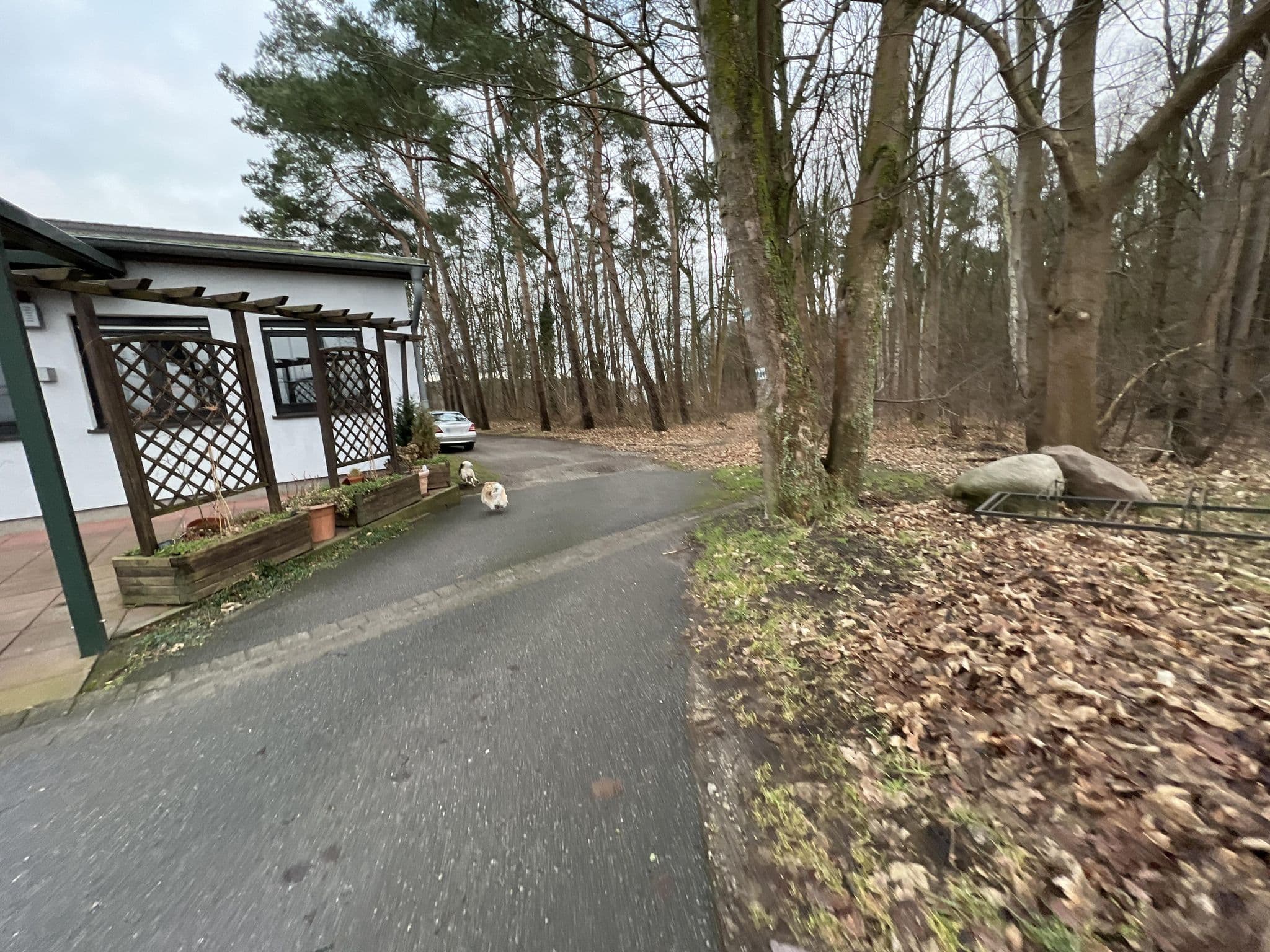 Street view near Hotel & Gasthof Heidekrug Inh. Fam. Scheel Quetzin Gasthof, Plau am See — © Santadragon (CC BY-SA · Mapillary)
