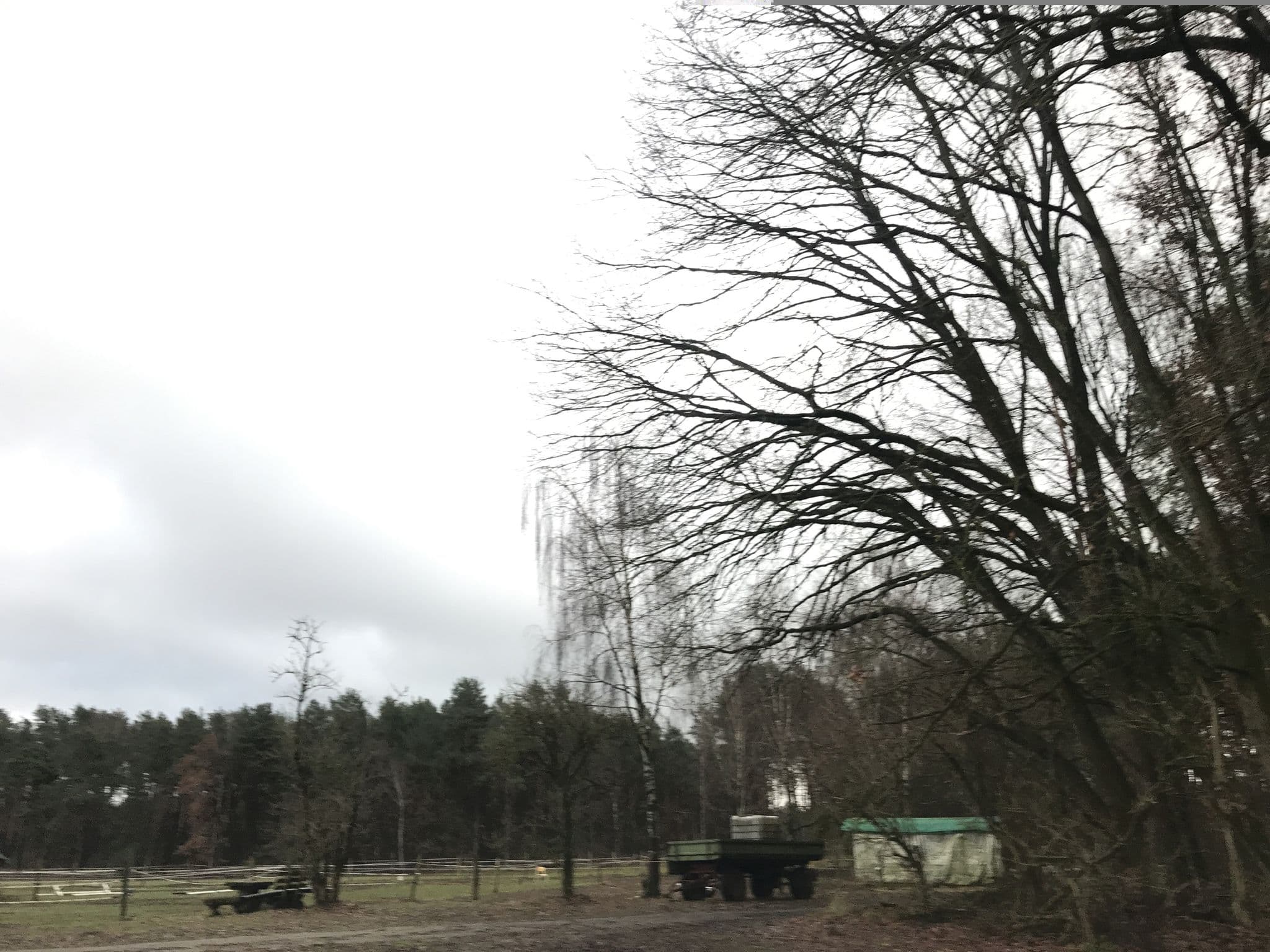 Street view near Torsten Erdmann, Rheinsberg — © tb4711 (CC BY-SA · Mapillary)