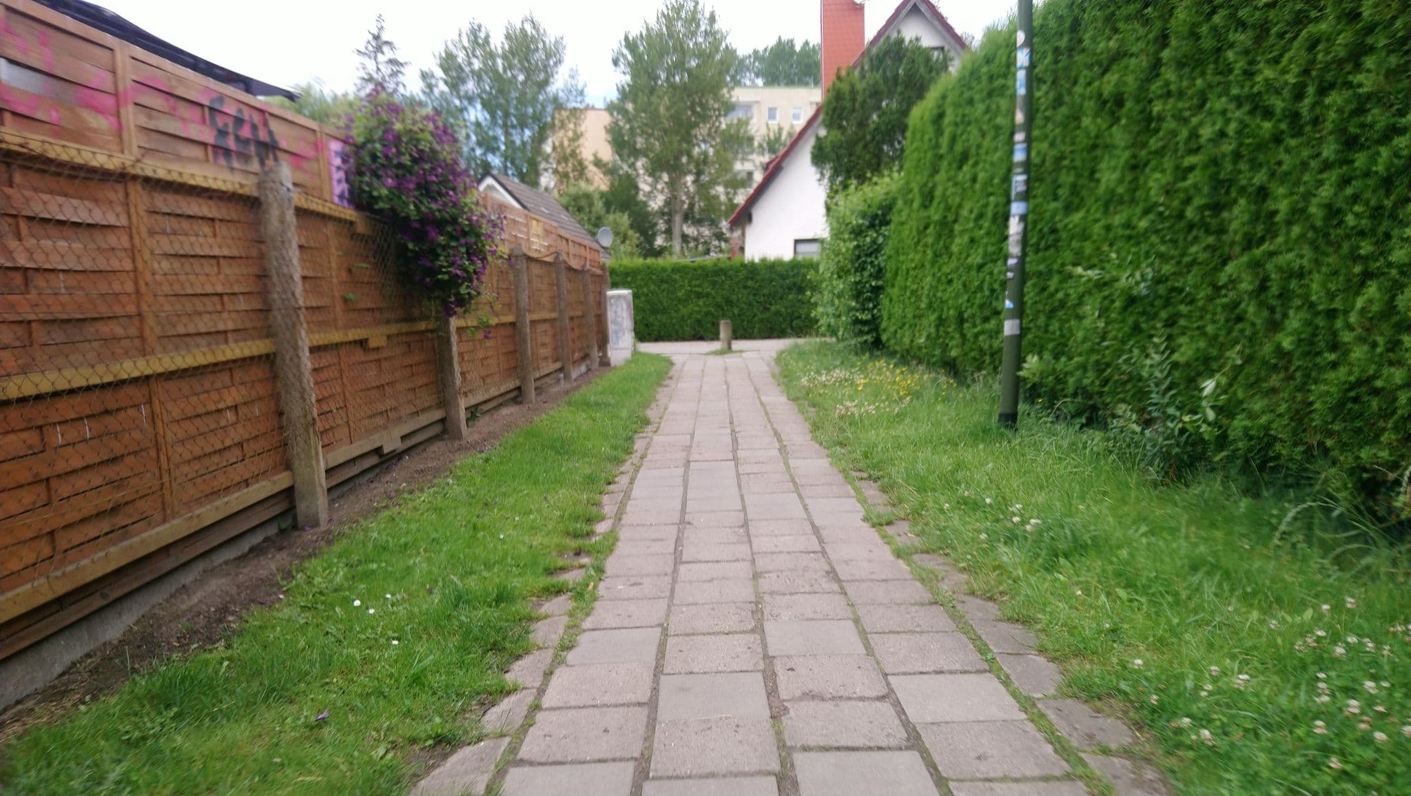 Street view near Ferienwohnung Strandmeer, Warnemünde — © 8of9 (CC BY-SA · Mapillary)