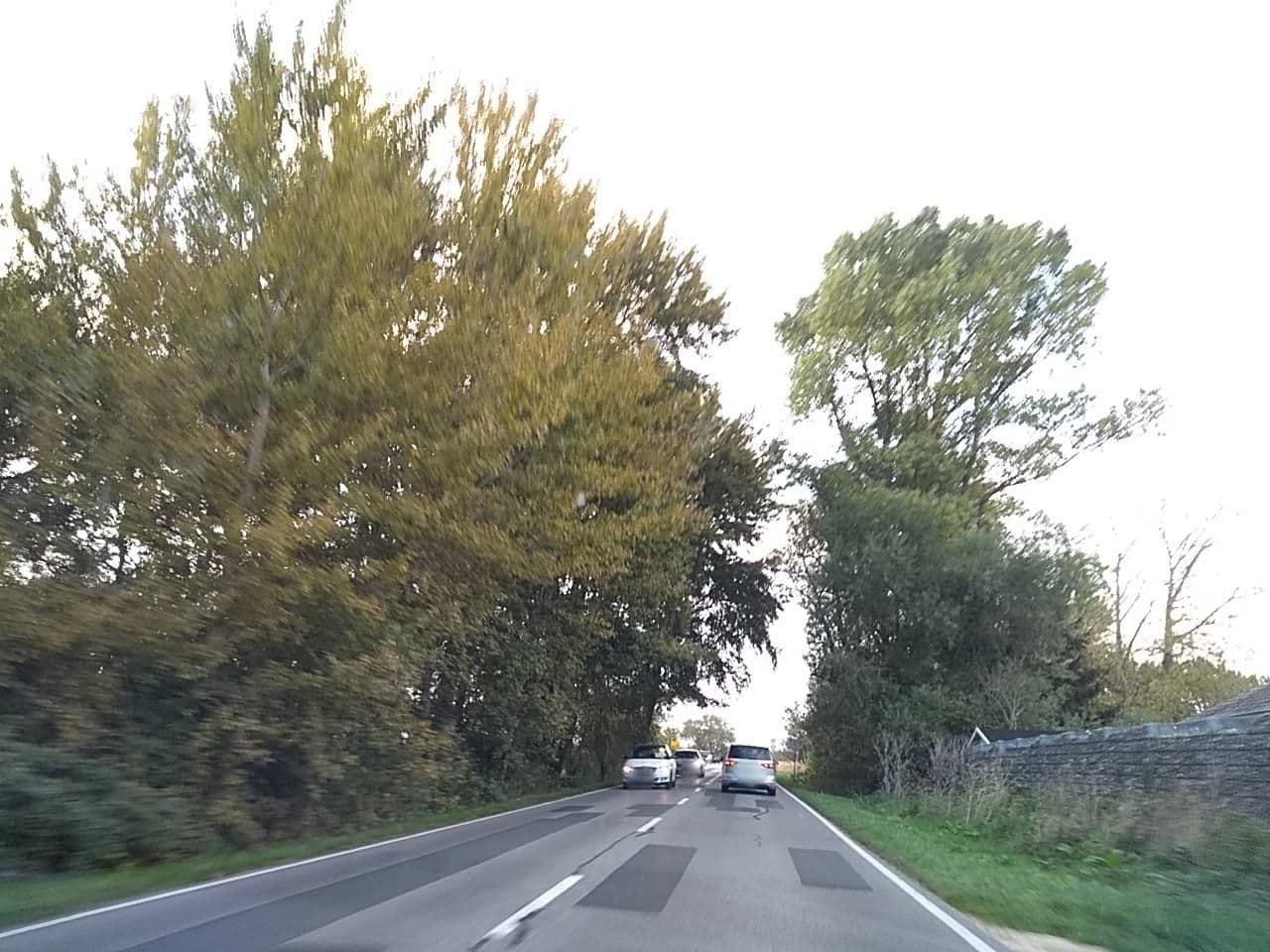 Street view near Boddenhus, Zingst — © thetornado76 (CC BY-SA · Mapillary)