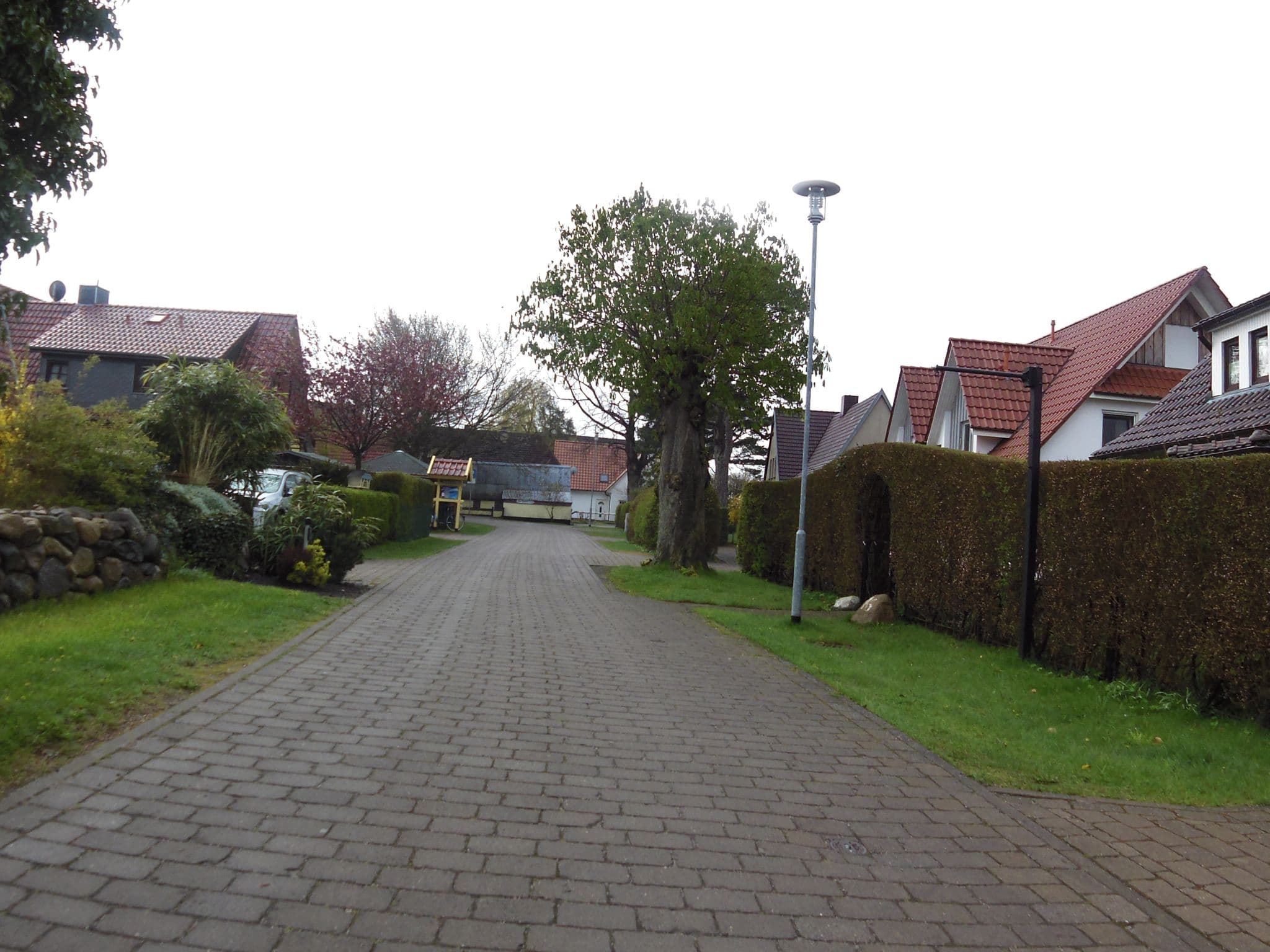Street view near Ferienhaus Stine, Zingst — © zoegglmeyr (CC BY-SA · Mapillary)