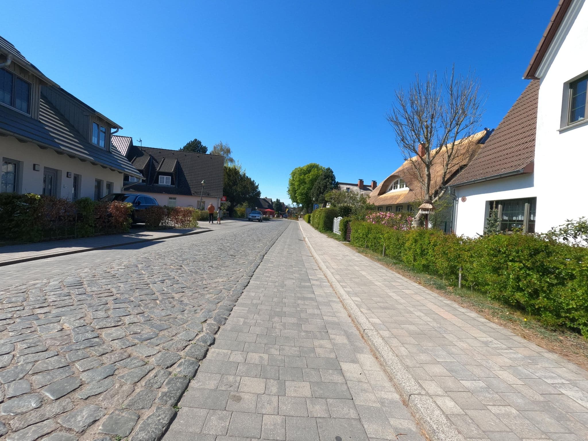 Street view near Fischerjung, Born — © hektor1989 (CC BY-SA · Mapillary)