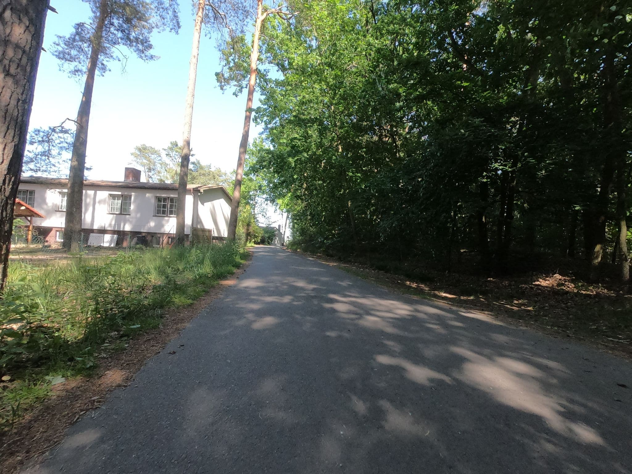 Street view near Seehotel Schorfheide am Grimnitzsee, Joachimsthal — © carlheinz (CC BY-SA · Mapillary)