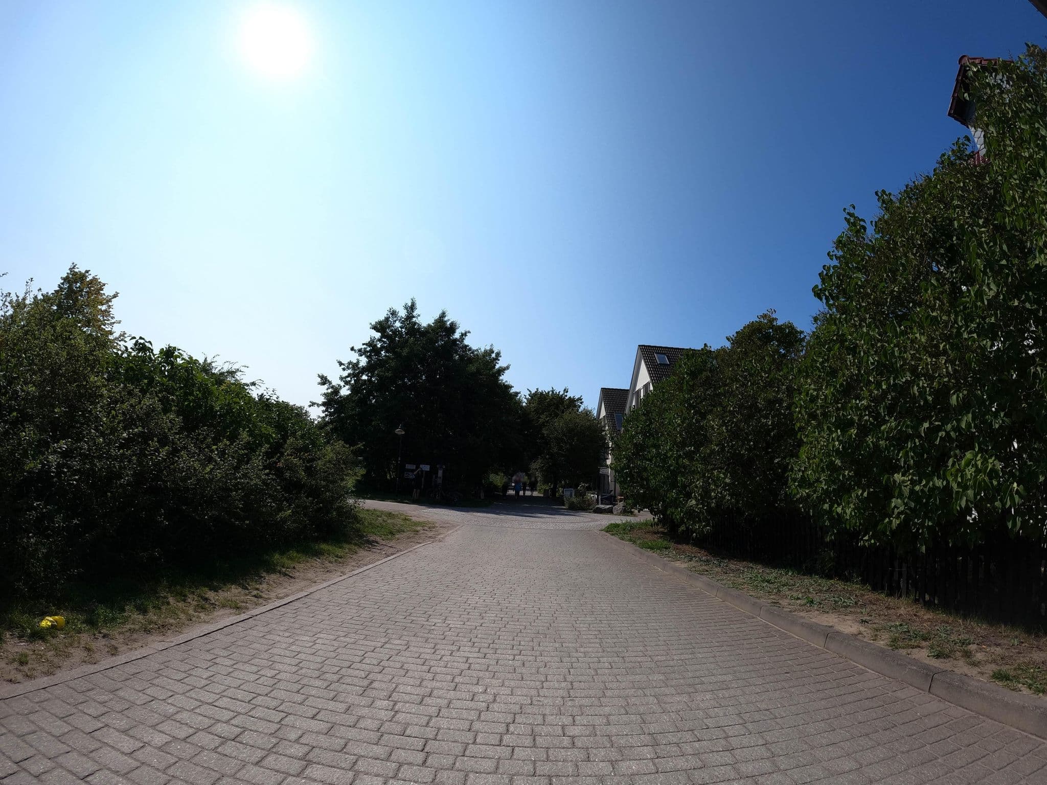 Street view near Pension Lachmöwe Inh. Ulrike Kapp, Hiddensee — © strubbl (CC BY-SA · Mapillary)