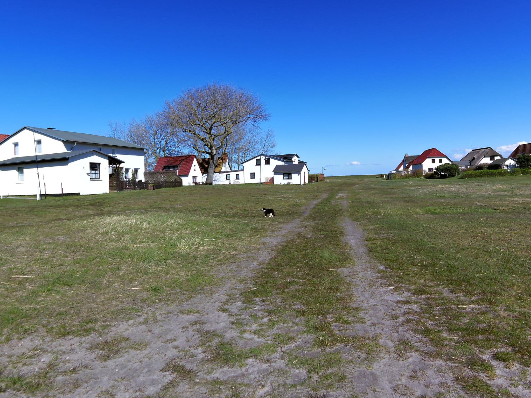 Street view near Zimmervermietung Baars Michael, Dagmar, Hiddensee — © zoegglmeyr (CC BY-SA · Mapillary)