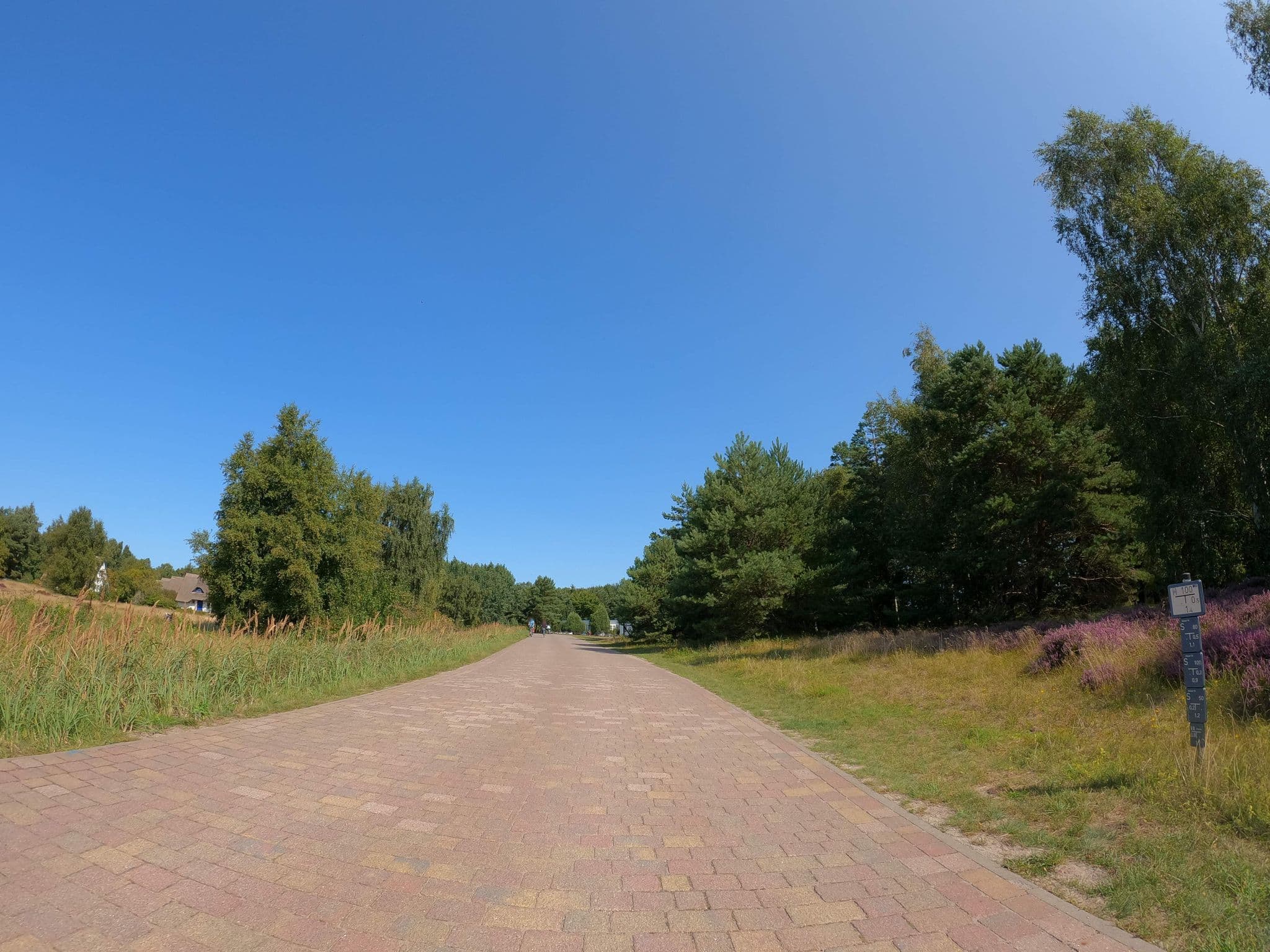 Street view near Haus Buchholz Inh.Antje Syring, Hiddensee — © strubbl (CC BY-SA · Mapillary)