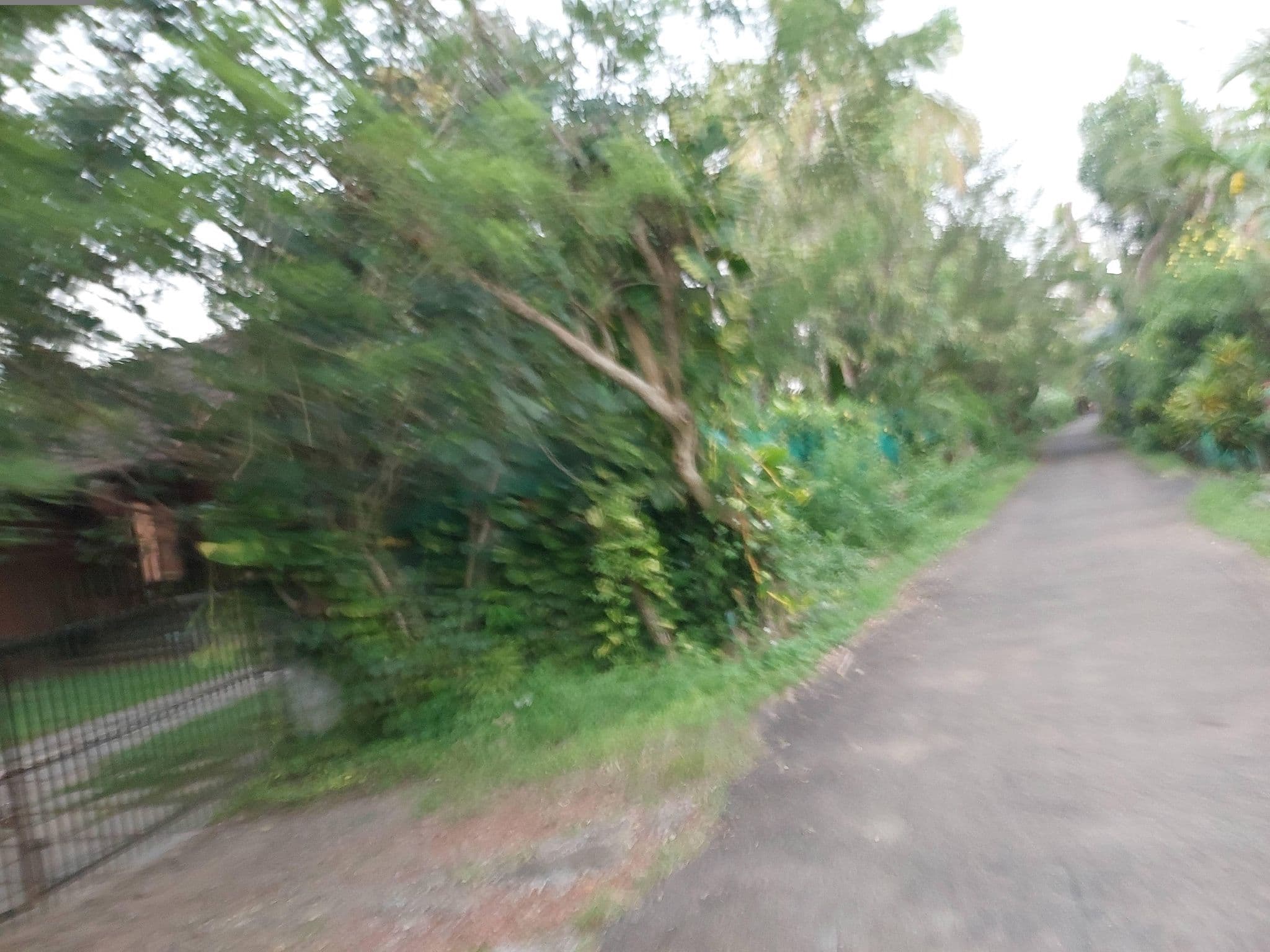 Street view near Vinca Lake House Homestay, Chengalam — © V15 (CC BY-SA · Mapillary)