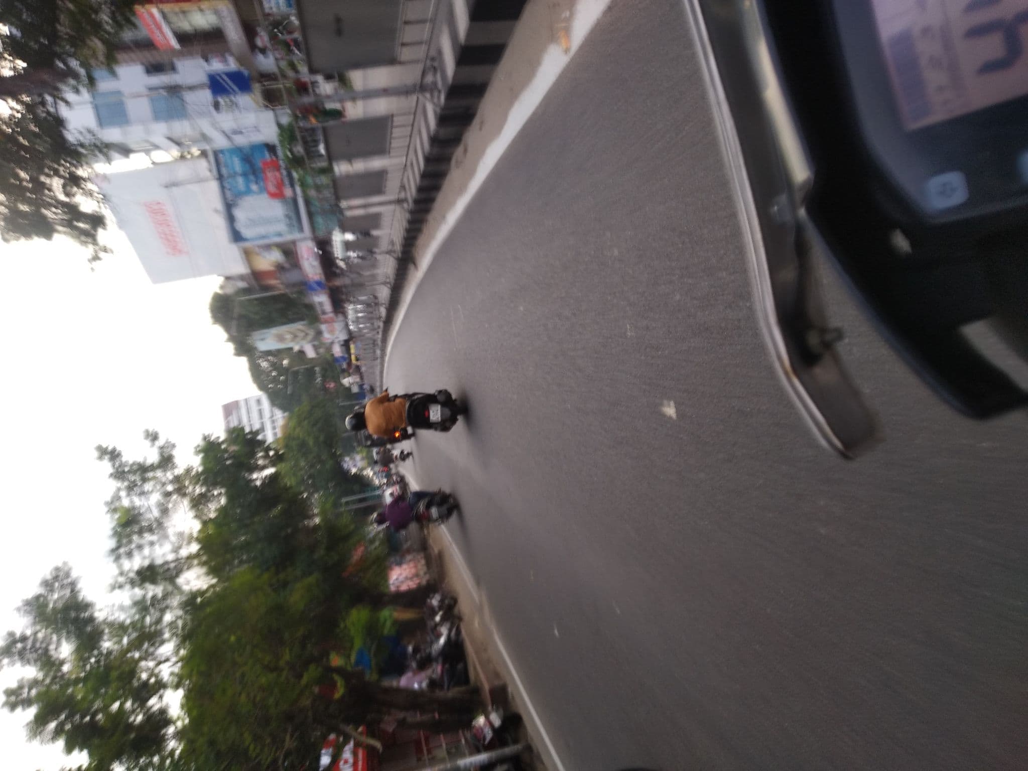 Street view near Hotel Crystal Plaza, Kanayannur — © jothishbabu (CC BY-SA · Mapillary)