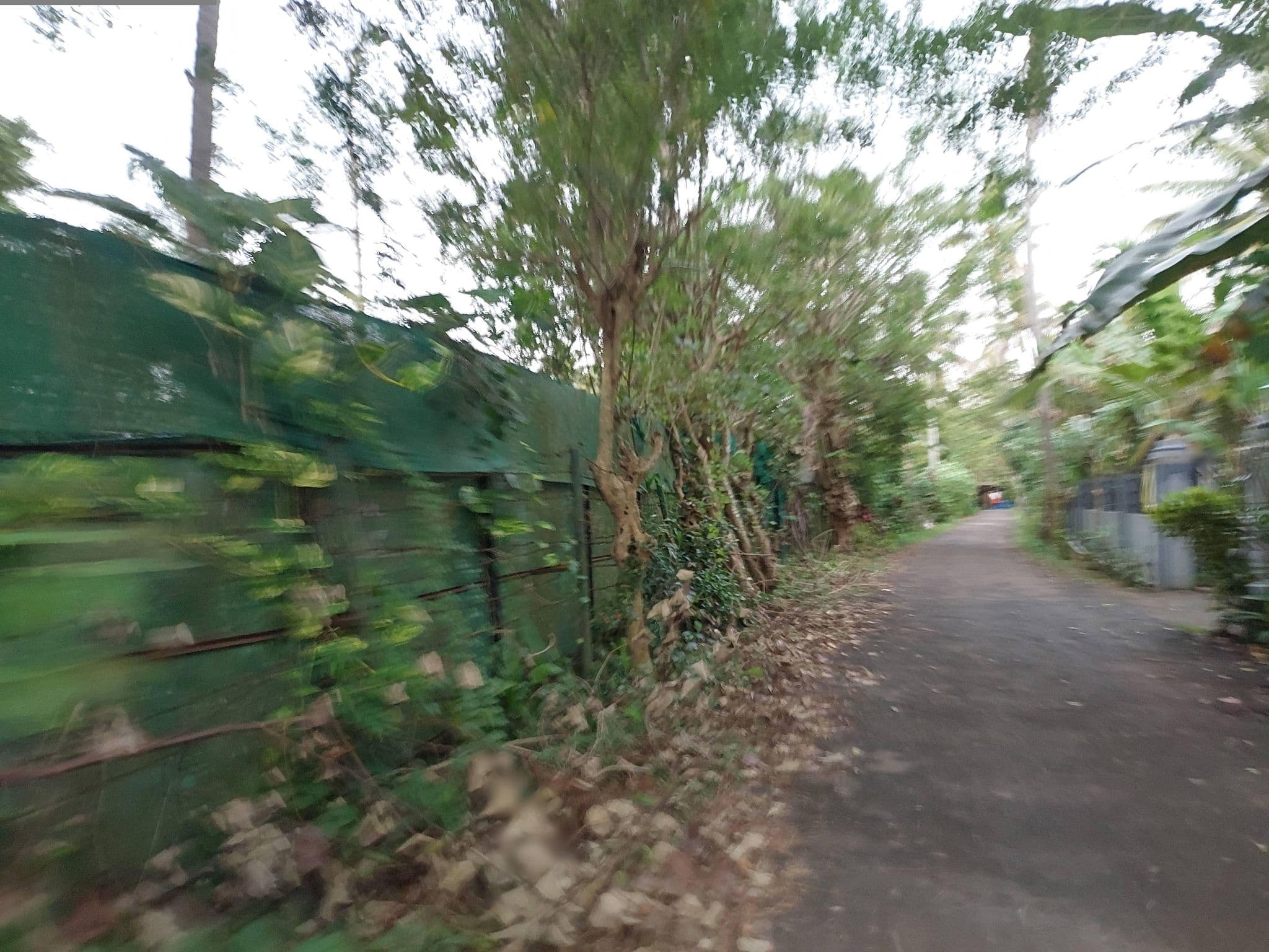 Street view near The Lily Pad, Chengalam — © V15 (CC BY-SA · Mapillary)