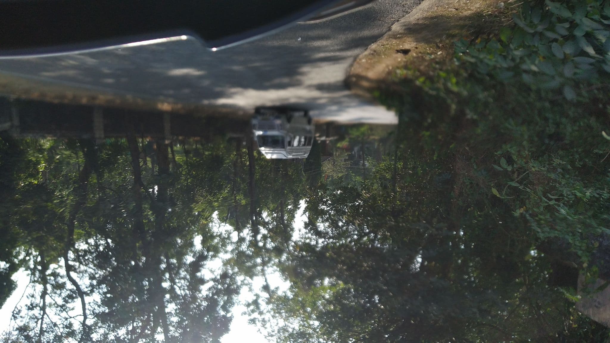 Street view near Misty Mountain, Erāttupetta — © jothishbabu (CC BY-SA · Mapillary)