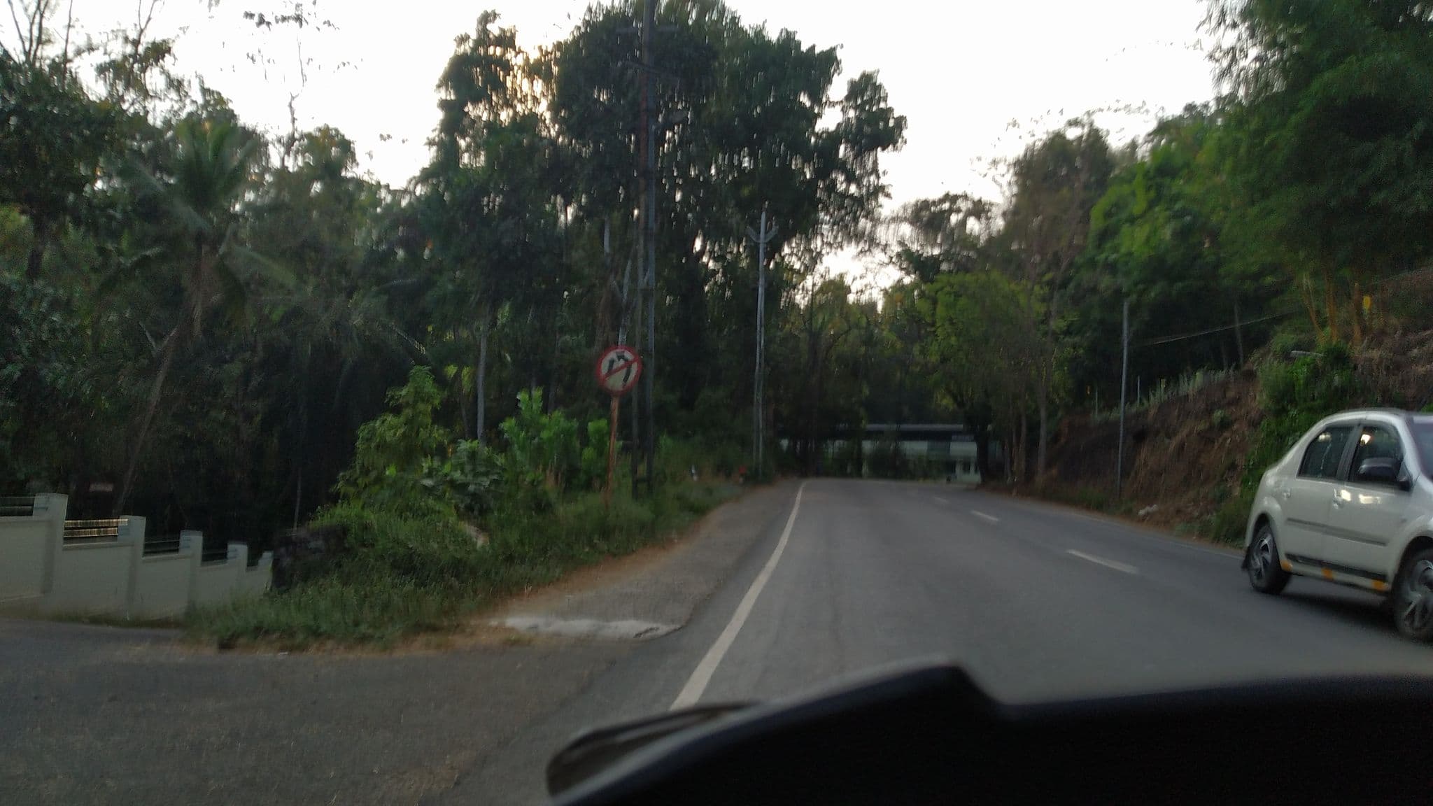 Street view near Hotel Elegance, Erāttupetta — © jothishbabu (CC BY-SA · Mapillary)