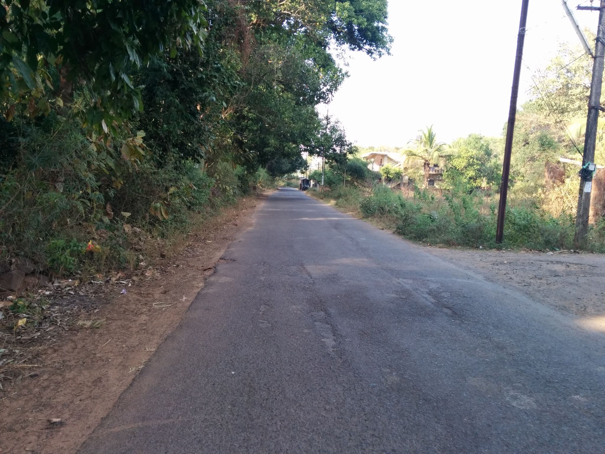 Street view near Sunbeach Residence Hotel, Canacona — © sashazykov (CC BY-SA · Mapillary)