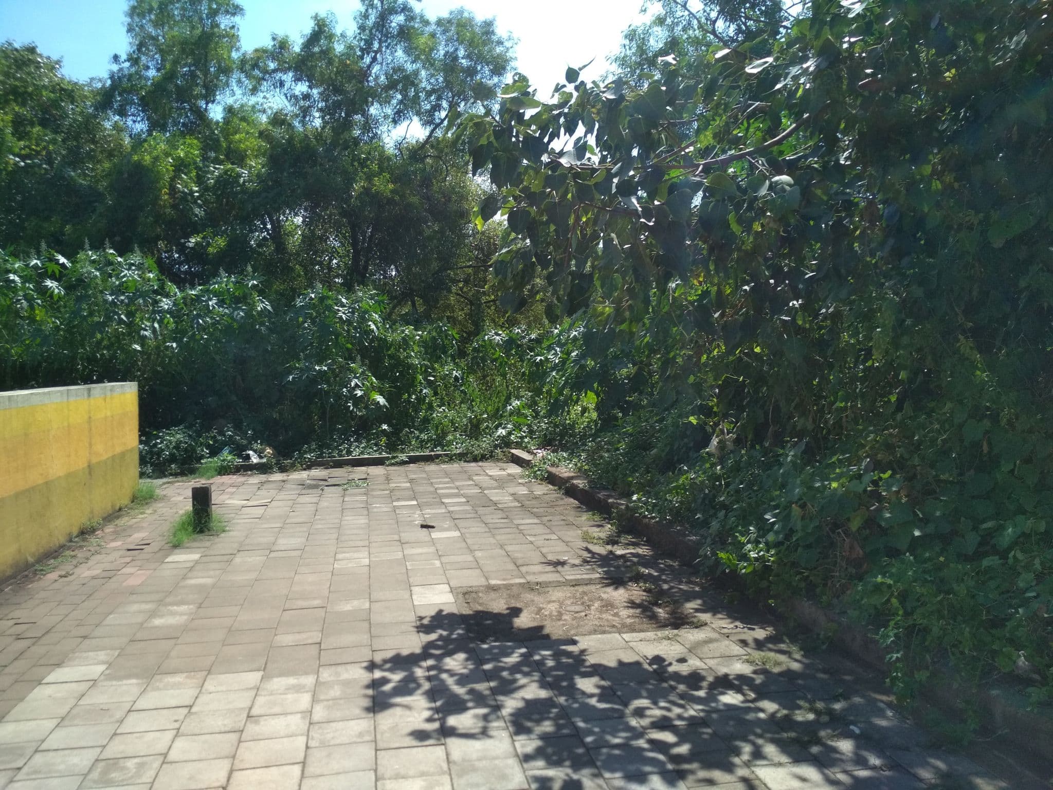 Street view near La Vista Lodge, Panjim — © prtksxna (CC BY-SA · Mapillary)