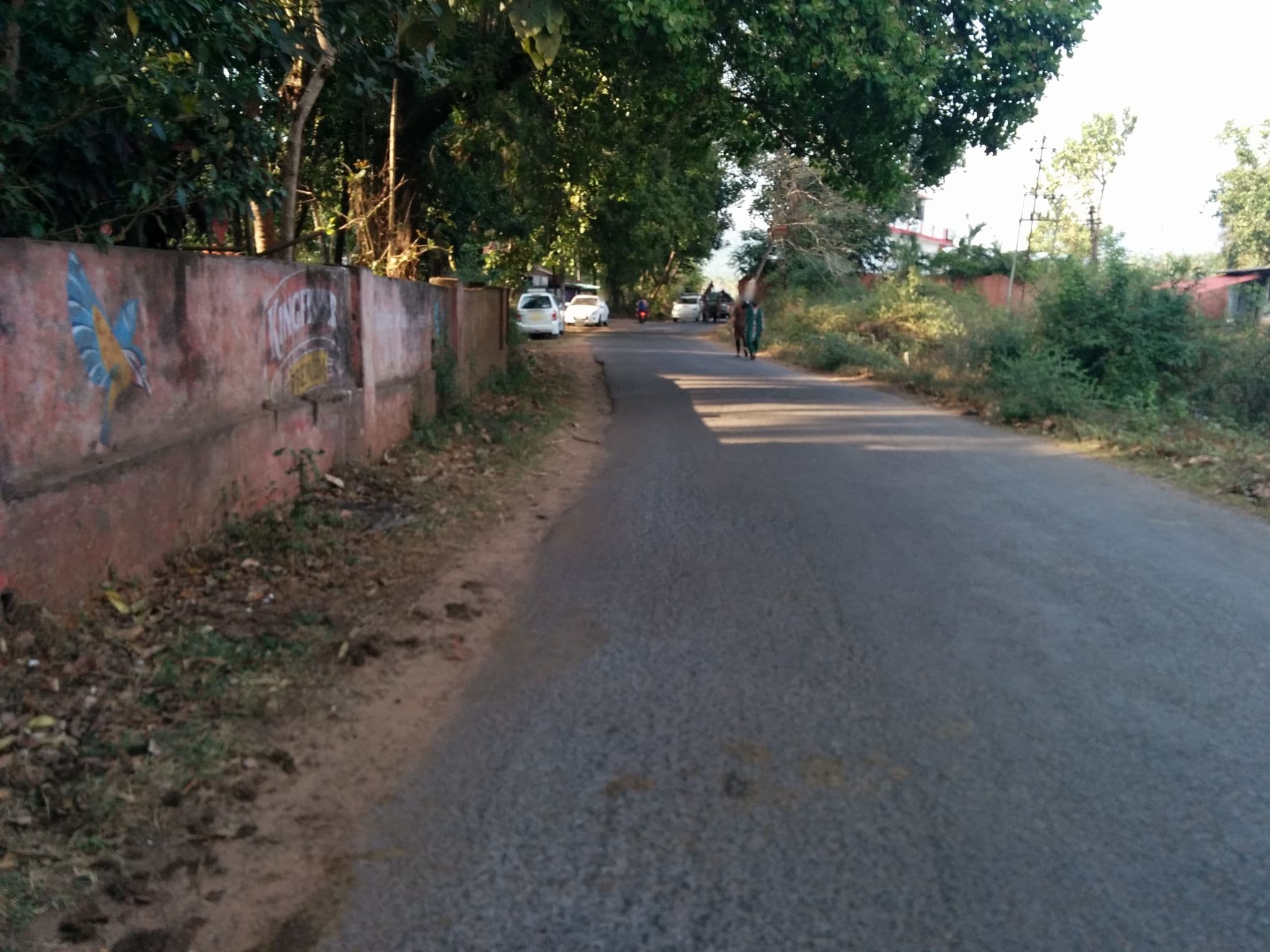 Street view near Roadhouse Hostel Palolem, Kānkon — © sashazykov (CC BY-SA · Mapillary)