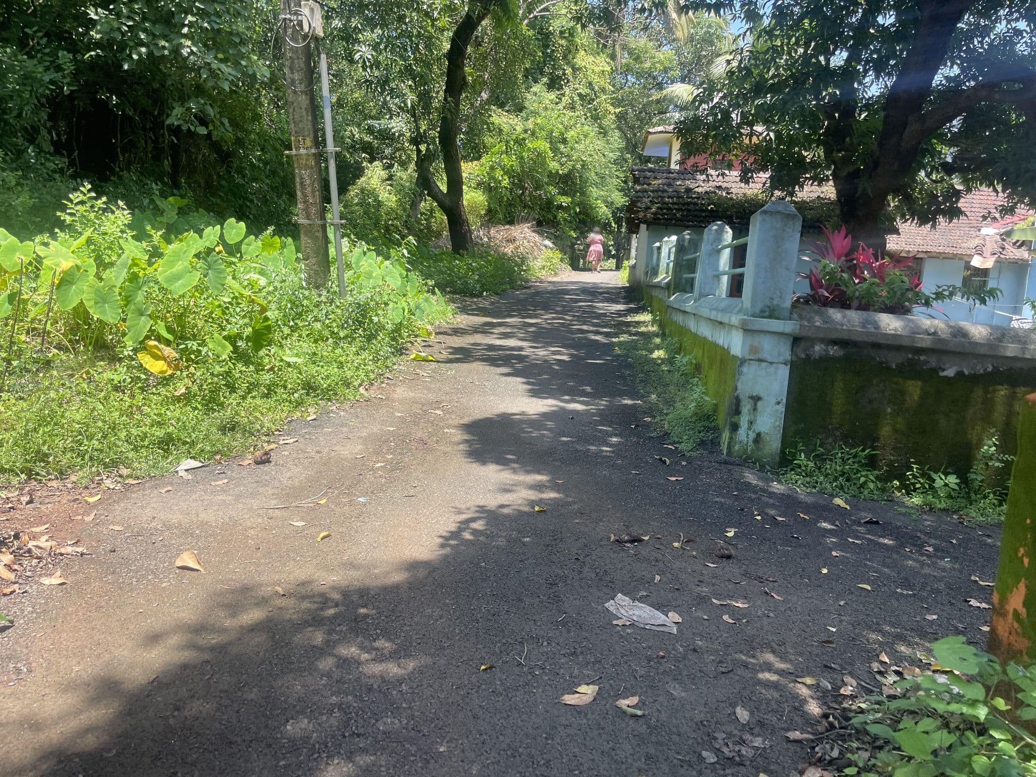 Street view near Lazy Llama, Anjuna — © marlonrodrigues (CC BY-SA · Mapillary)