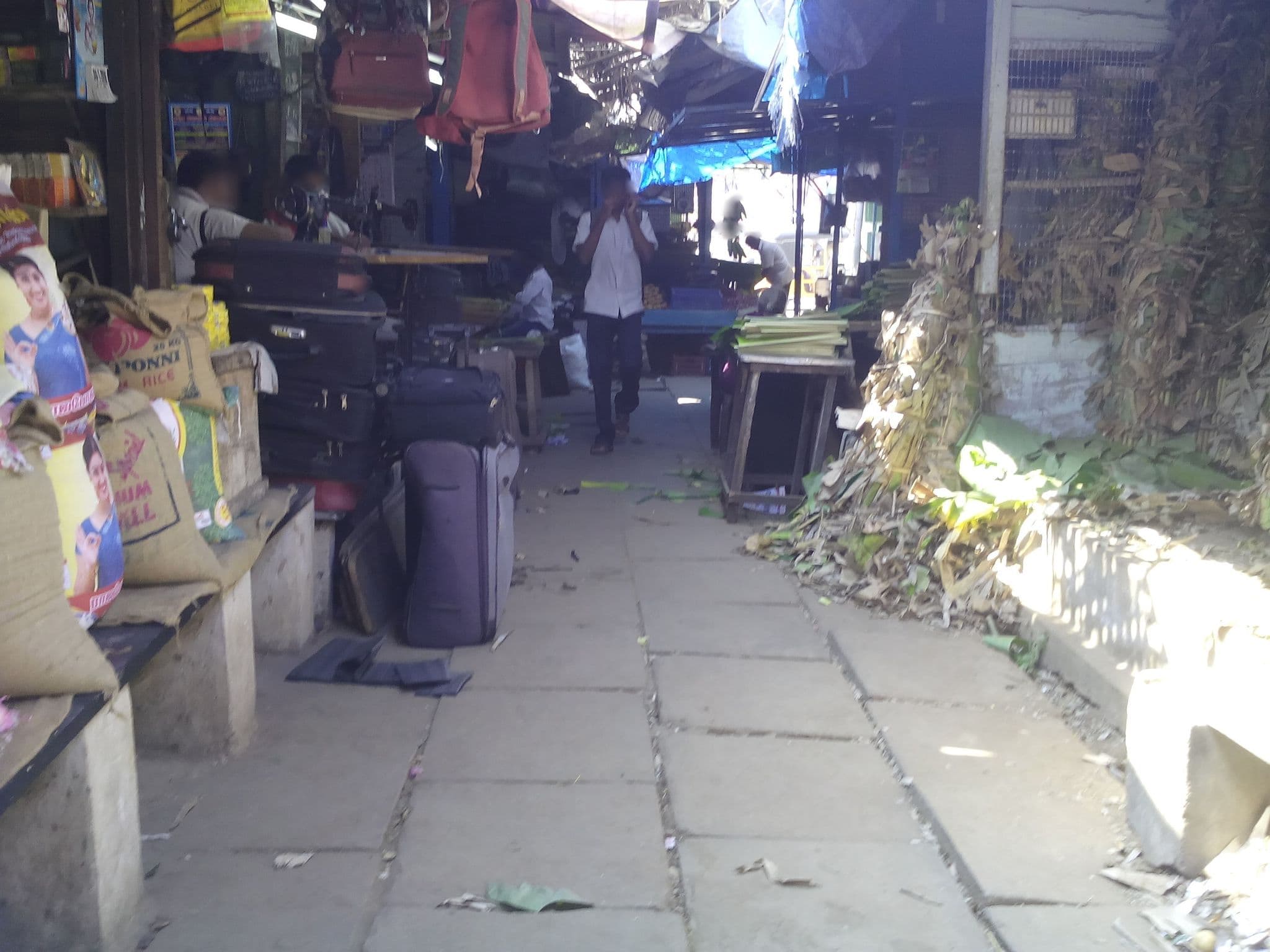 Street view near Hotel Bluestar, Coimbatore — © gokulraveendran (CC BY-SA · Mapillary)