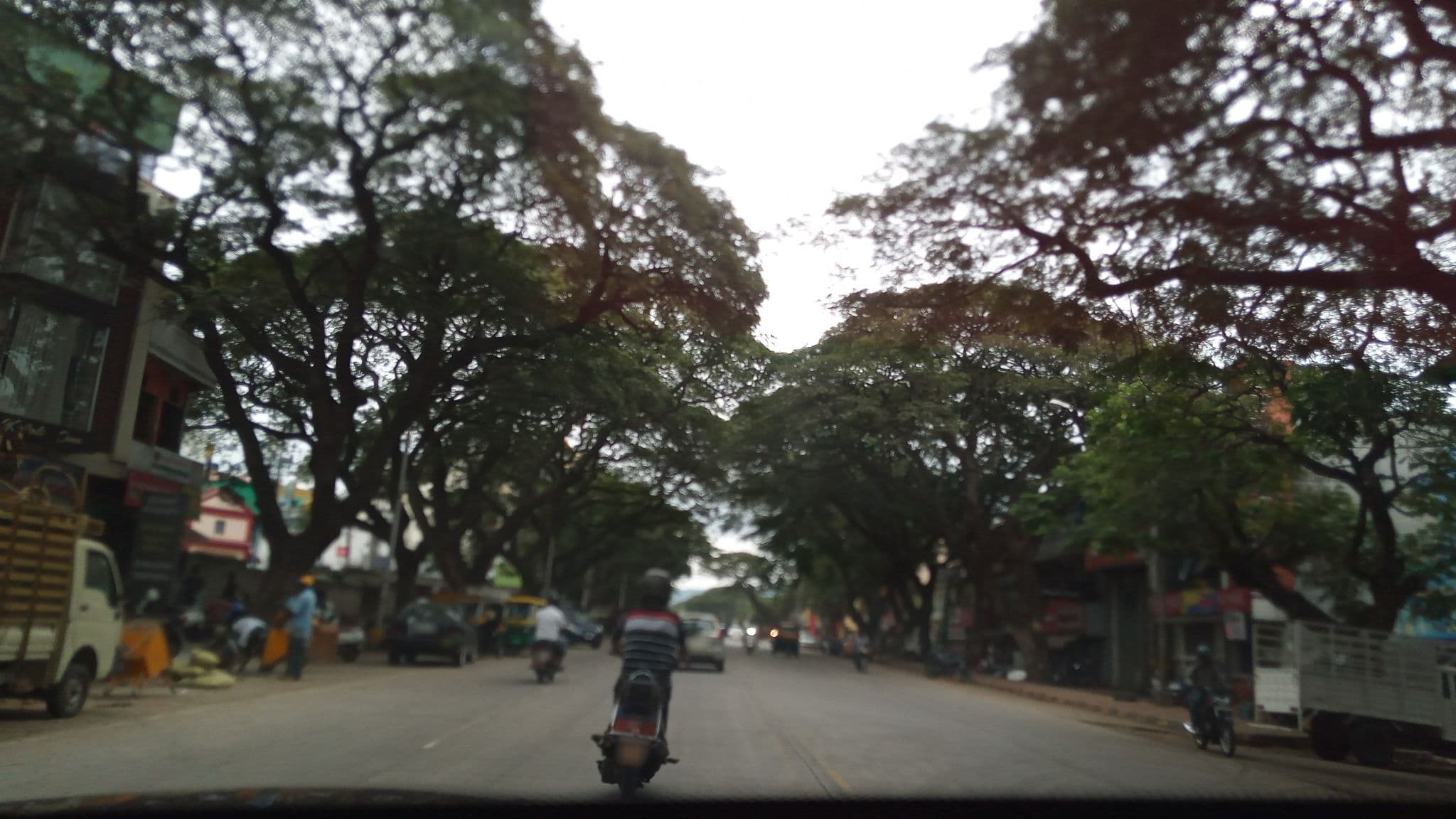 Street view near Treebo Golden Castle, Mysuru — © pradeepbv (CC BY-SA · Mapillary)