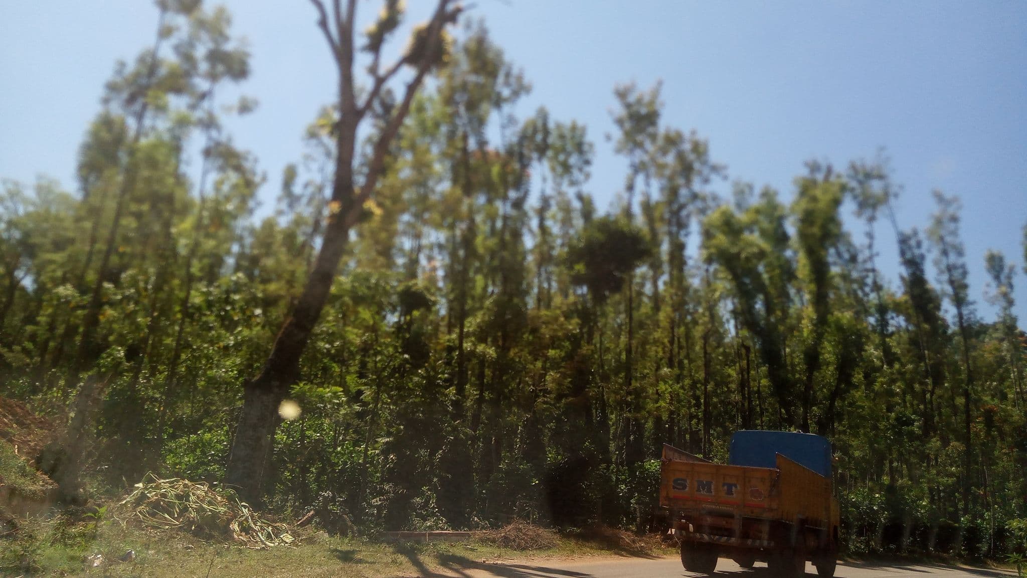 Street view near Kurinji Inn, Chikmagalūr — © pradeepbv (CC BY-SA · Mapillary)