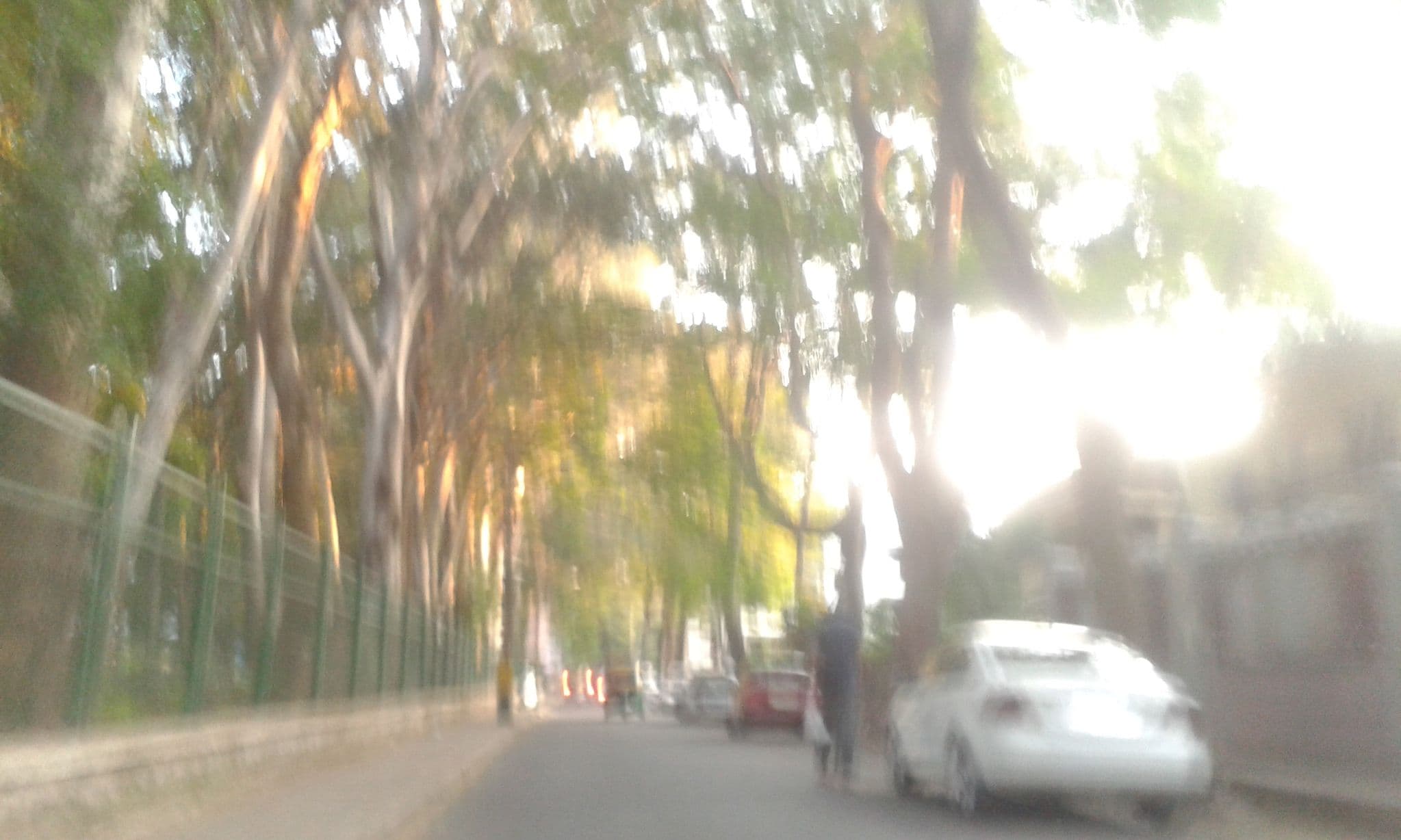 Street view near Compact Maple Leaf, Bengaluru — © yogi (CC BY-SA · Mapillary)