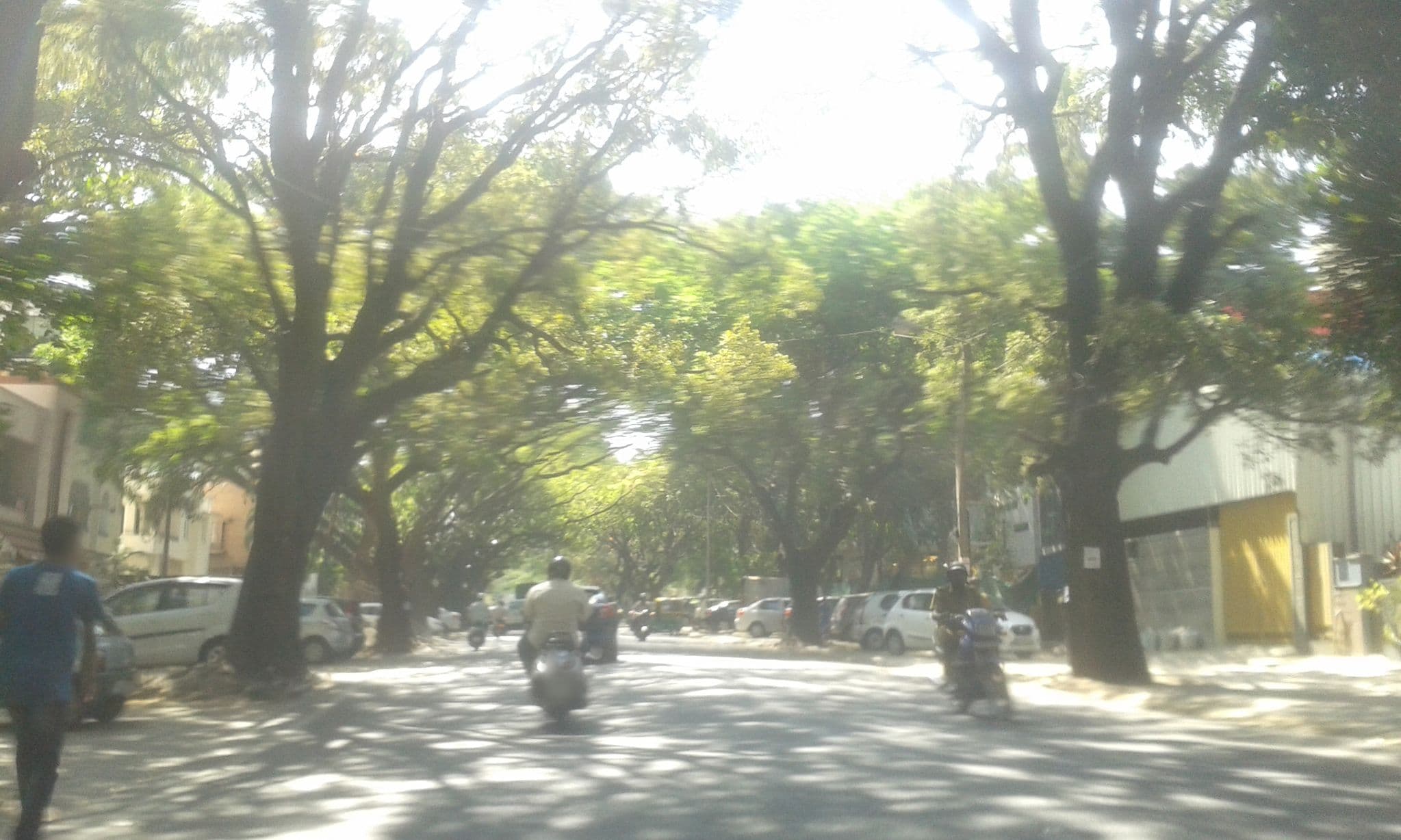 Street view near Palm Grove Nurseries, Bengaluru — © yogi (CC BY-SA · Mapillary)