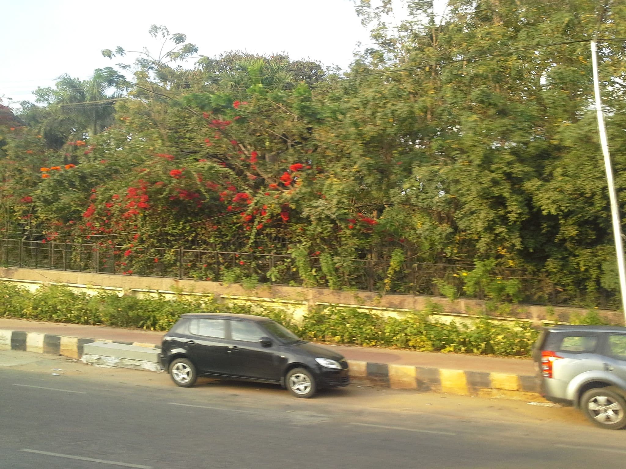 Street view near Ista Bangalore, Bengaluru — © omnibus (CC BY-SA · Mapillary)