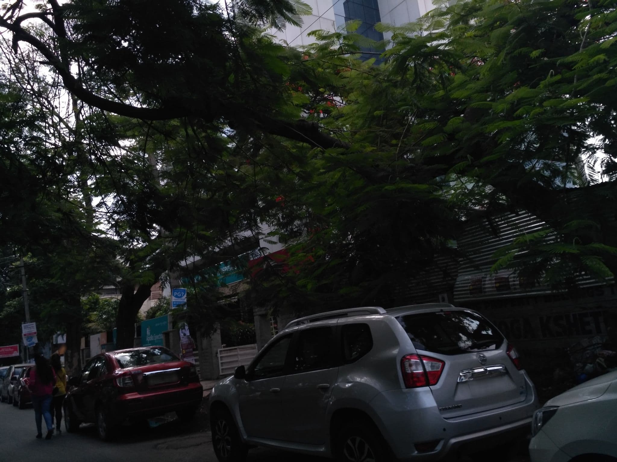 Street view near Roseline, Bengaluru — © chethan (CC BY-SA · Mapillary)