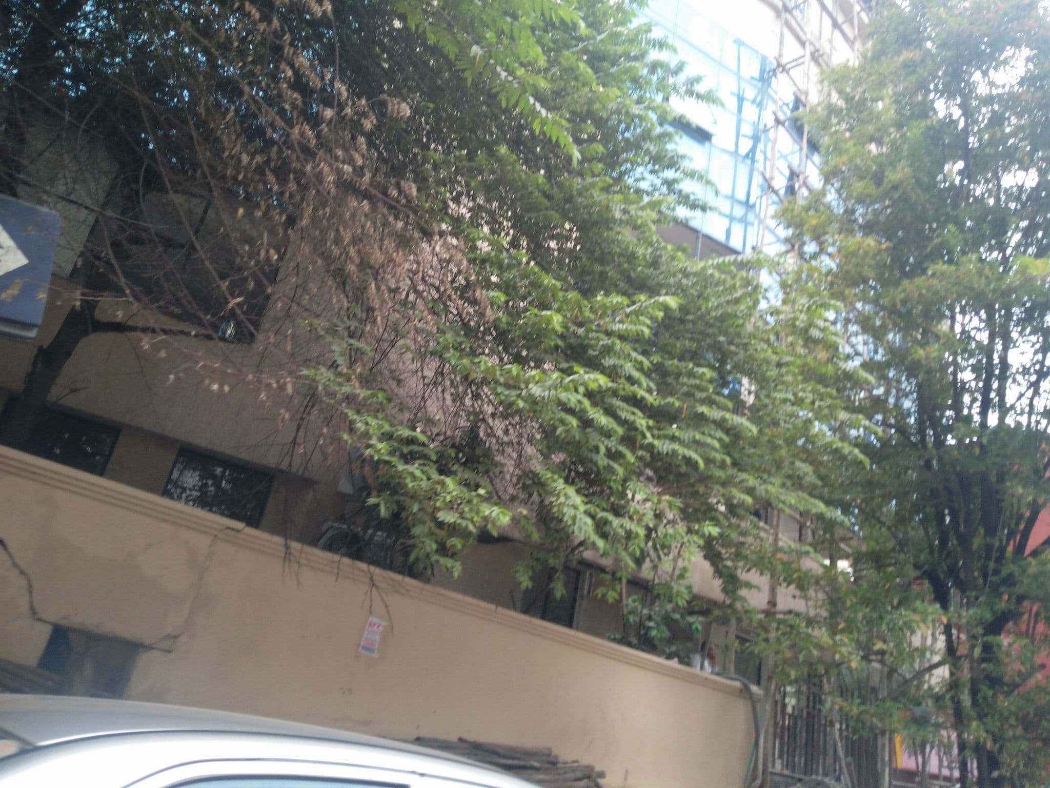 Street view near Oyo Townhouse 035, Bengaluru — © bhojaraj (CC BY-SA · Mapillary)