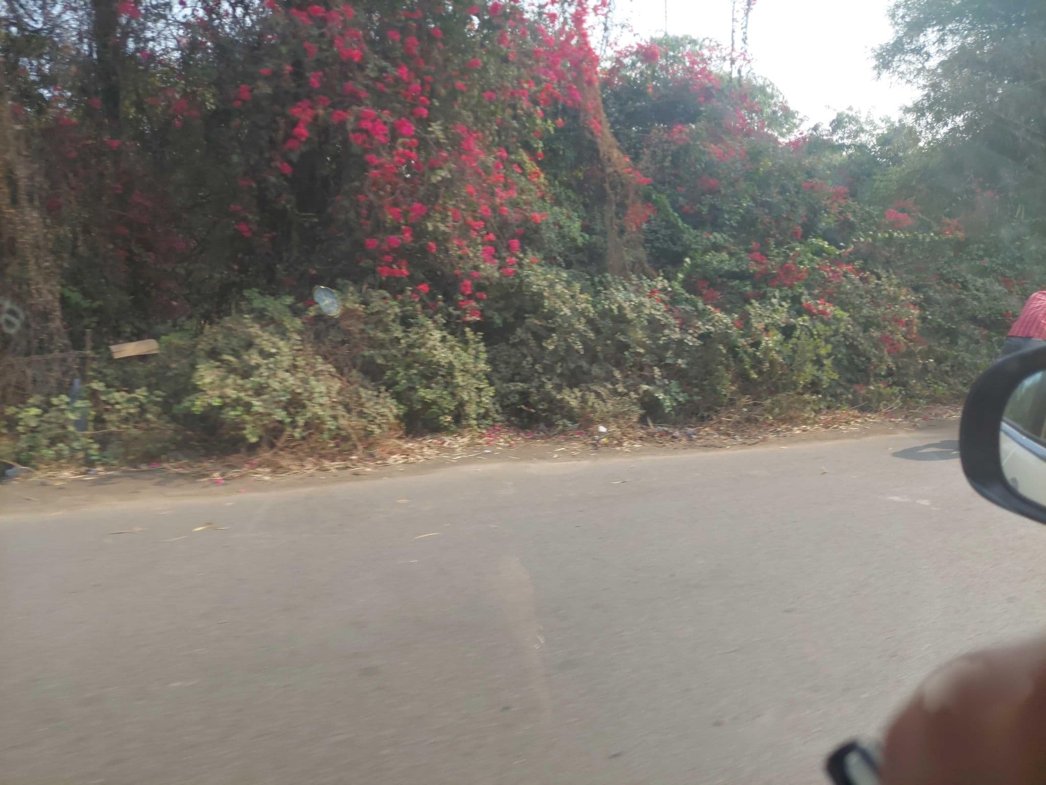 Street view near VITS Luxury Business Hotel - Nashik, Nashik — © Dhammaratna (CC BY-SA · Mapillary)