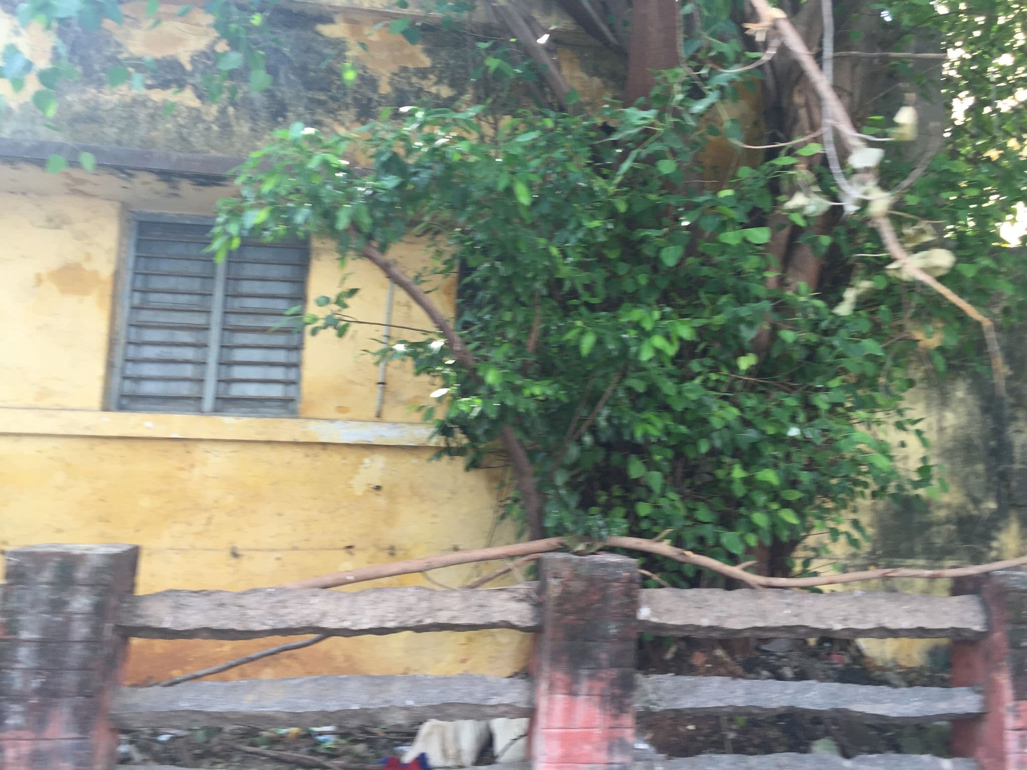 Street view near Raj Classic Inn, Puducherry — © mahdeekreamer (CC BY-SA · Mapillary)