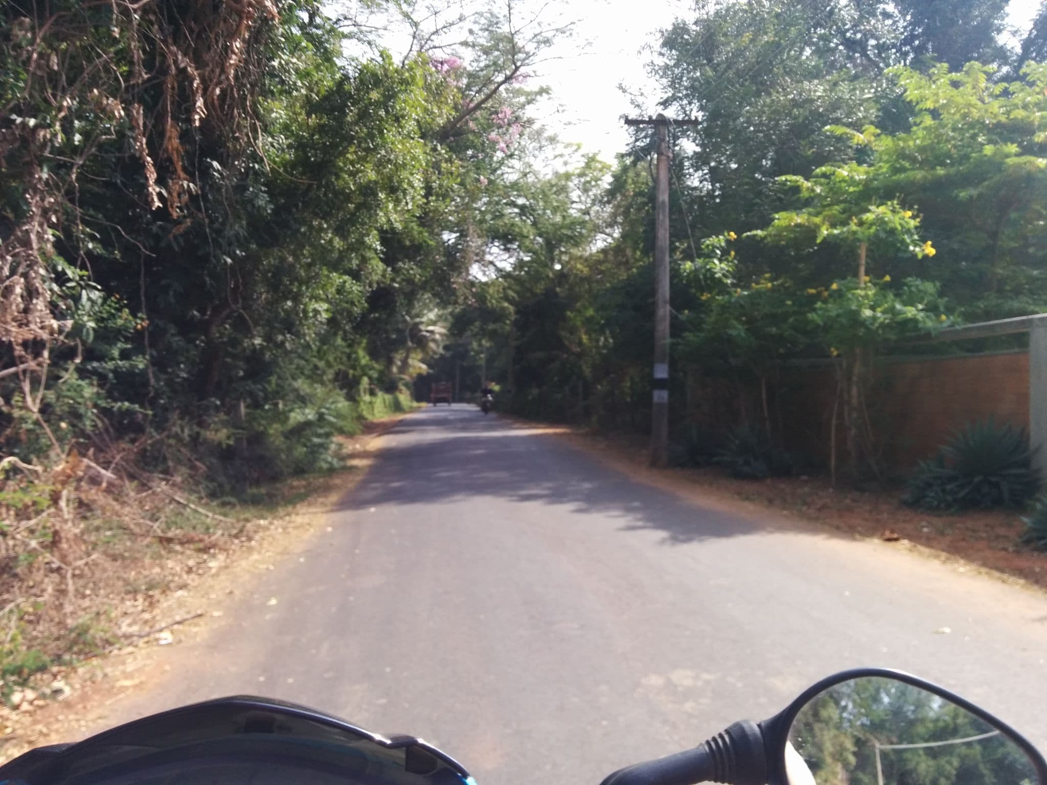 Street view near Temple Tree, Auroville — © sashazykov (CC BY-SA · Mapillary)