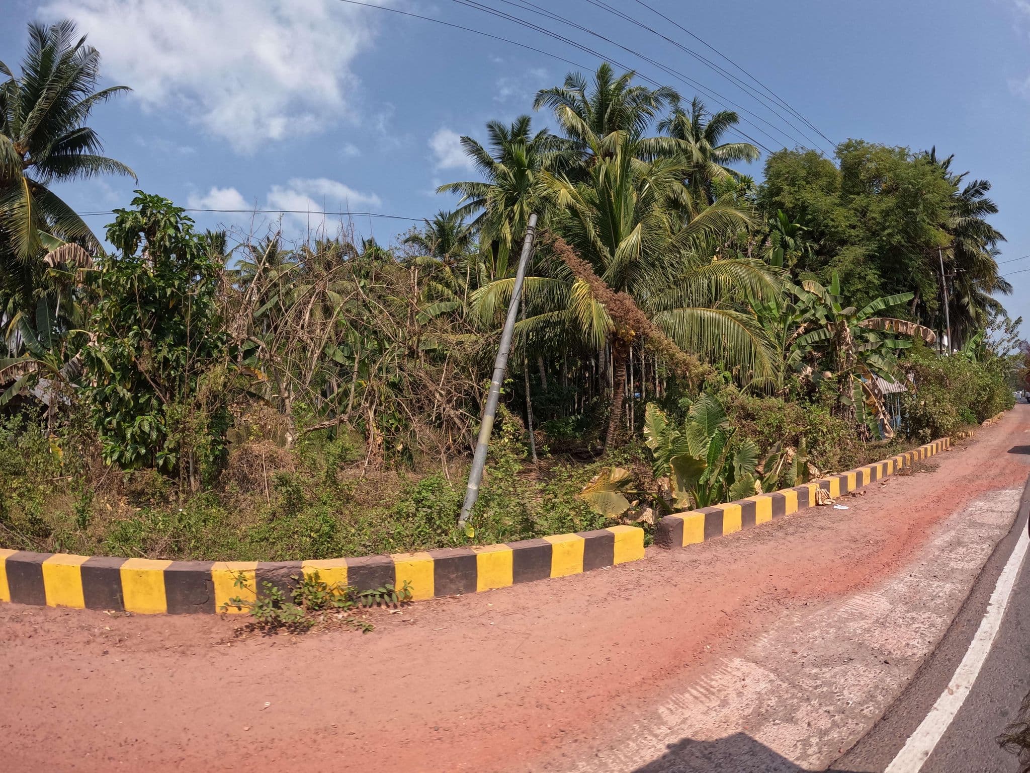 Street view near Wild Orchid, Bamboo Flat — © lucomsky (CC BY-SA · Mapillary)