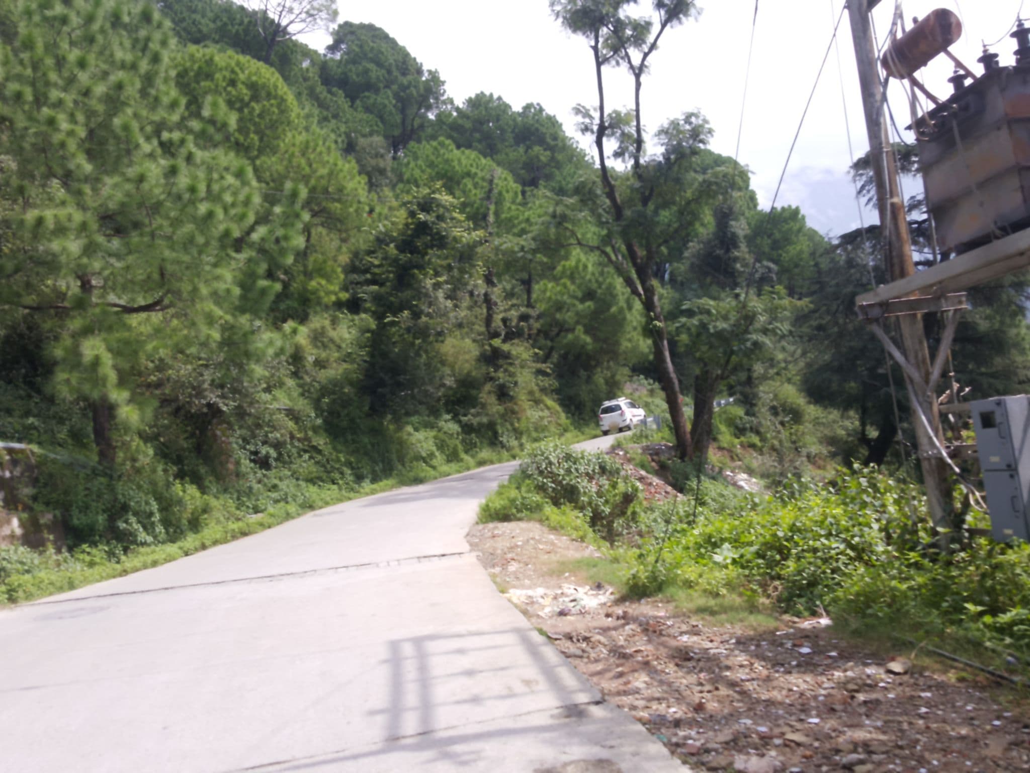 Street view near Surbhi Guest House, Dharamsala — © soale (CC BY-SA · Mapillary)