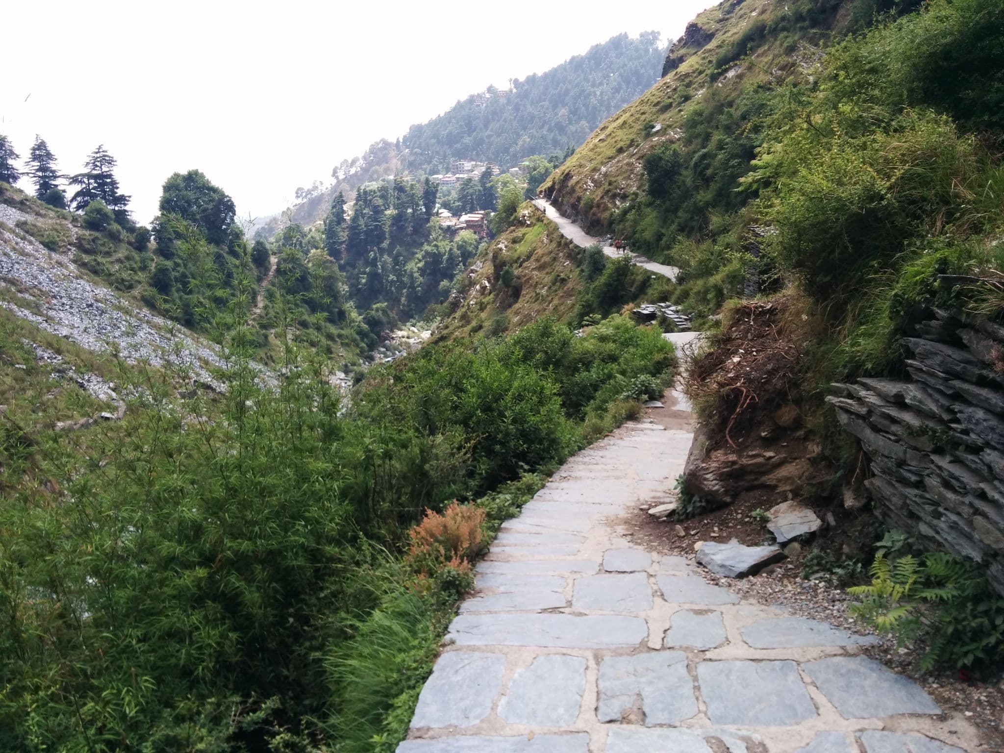 Street view near Spring Valley Resort, Dharamsala — © sashazykov (CC BY-SA · Mapillary)