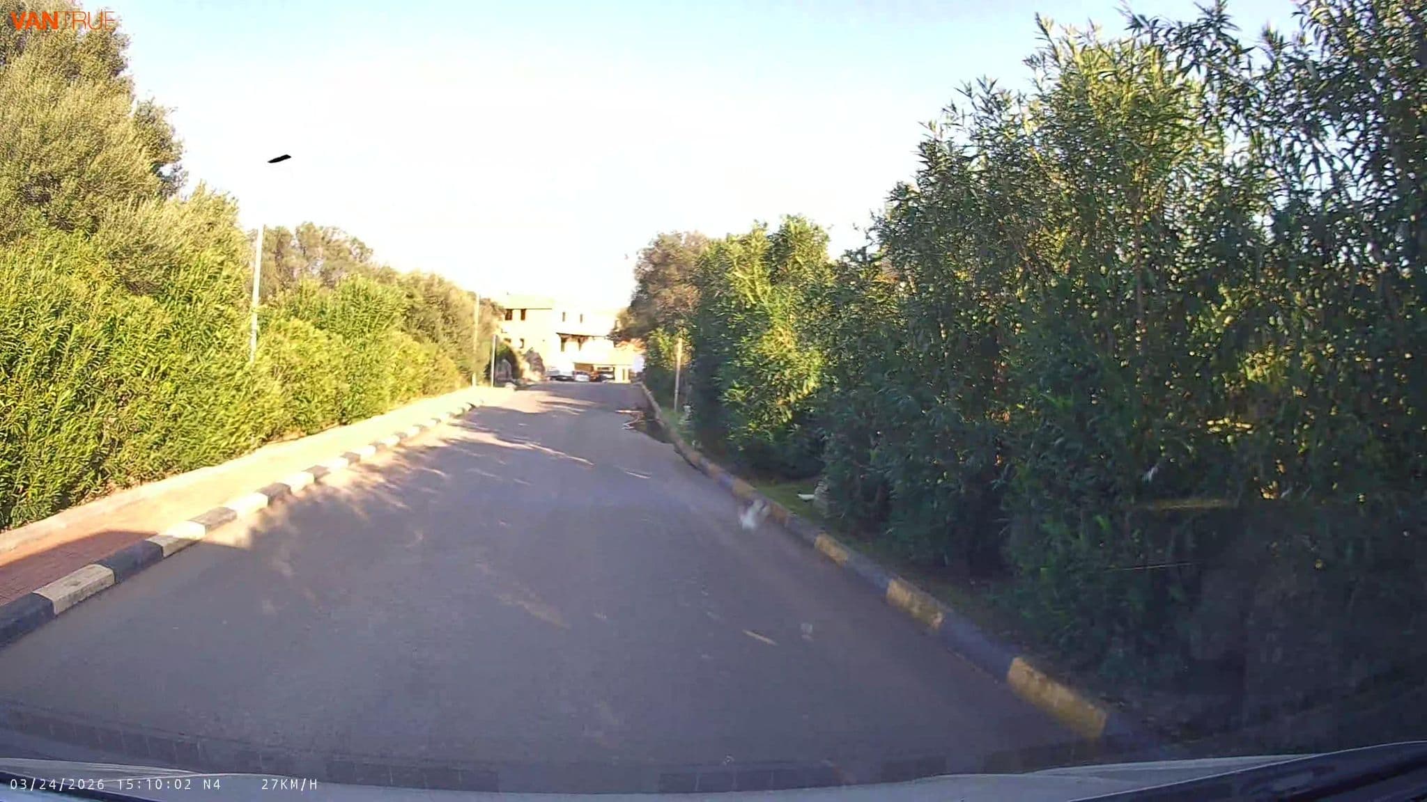 Street view near Résidence Pierre & Vacances Baia de Bahas Exclusive, Golfo Aranci — © lucia_ (CC BY-SA · Mapillary)