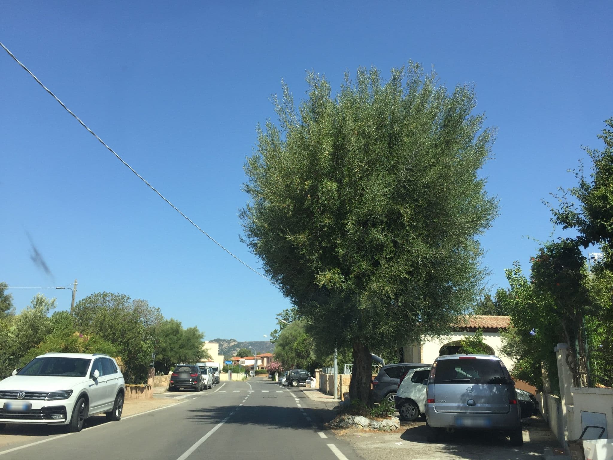 Street view near Casa Antony, San Teodoro — © thepriben (CC BY-SA · Mapillary)