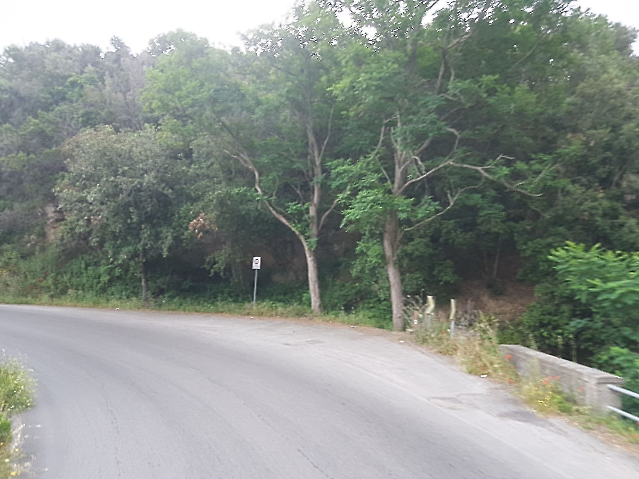 Street view near Villa Il Roseto Redinoce, Marciana Marina — © qungo (CC BY-SA · Mapillary)