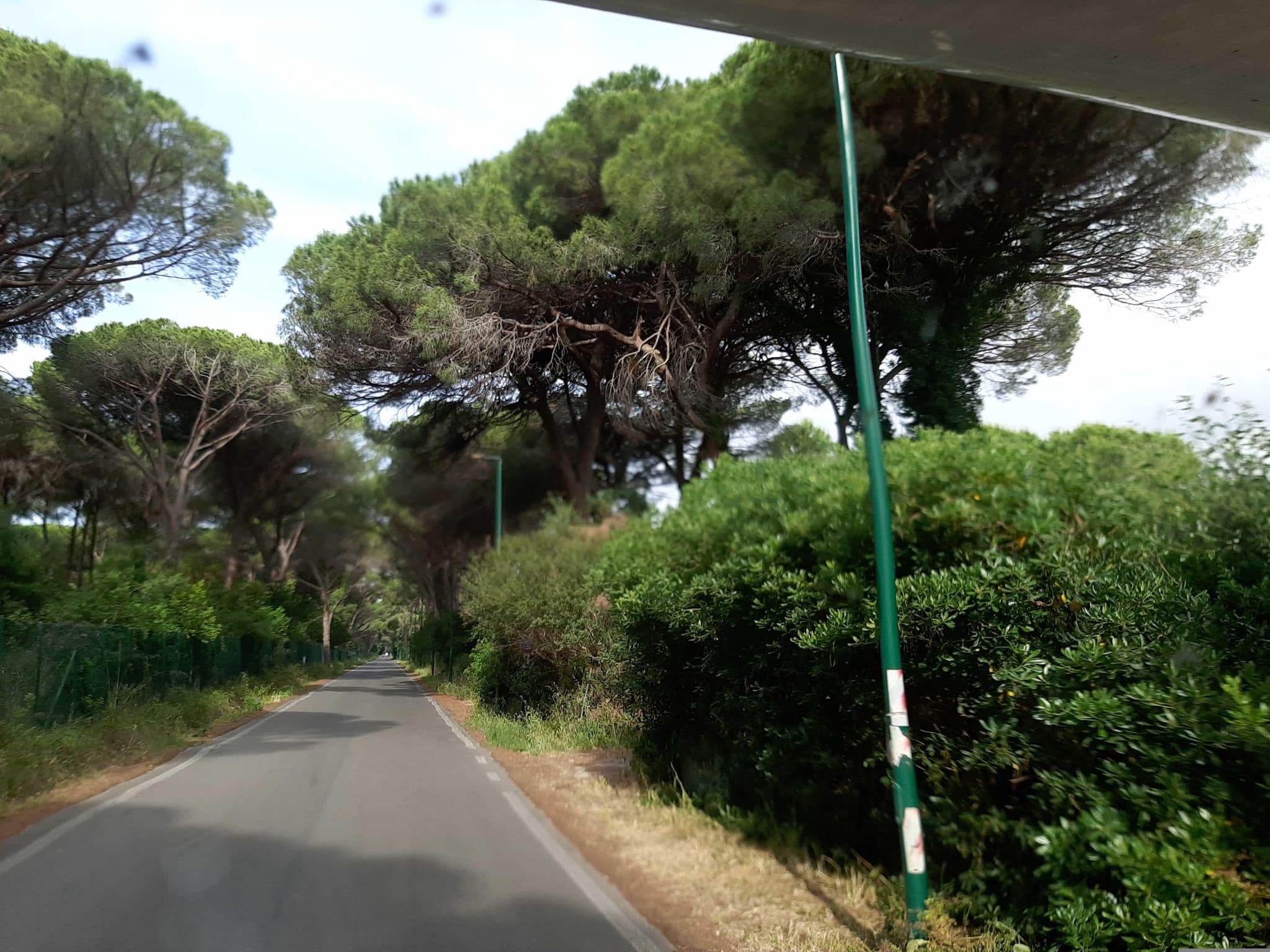 Street view near Zibellino Hotel, Castiglione della Pescaia — © Brown69 (CC BY-SA · Mapillary)