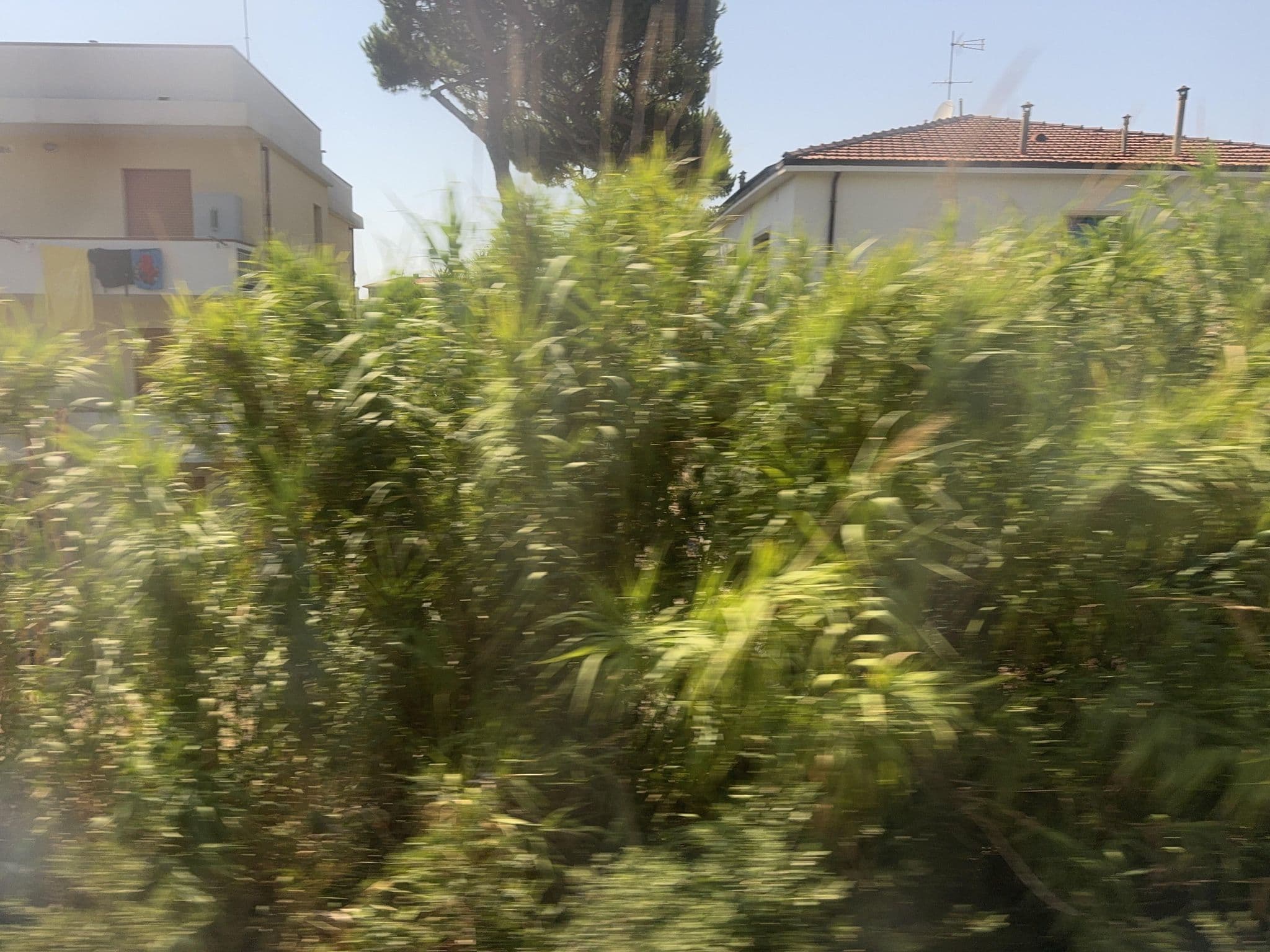 Street view near Casa Fiora, San Vincenzo — © mapconcierge (CC BY-SA · Mapillary)