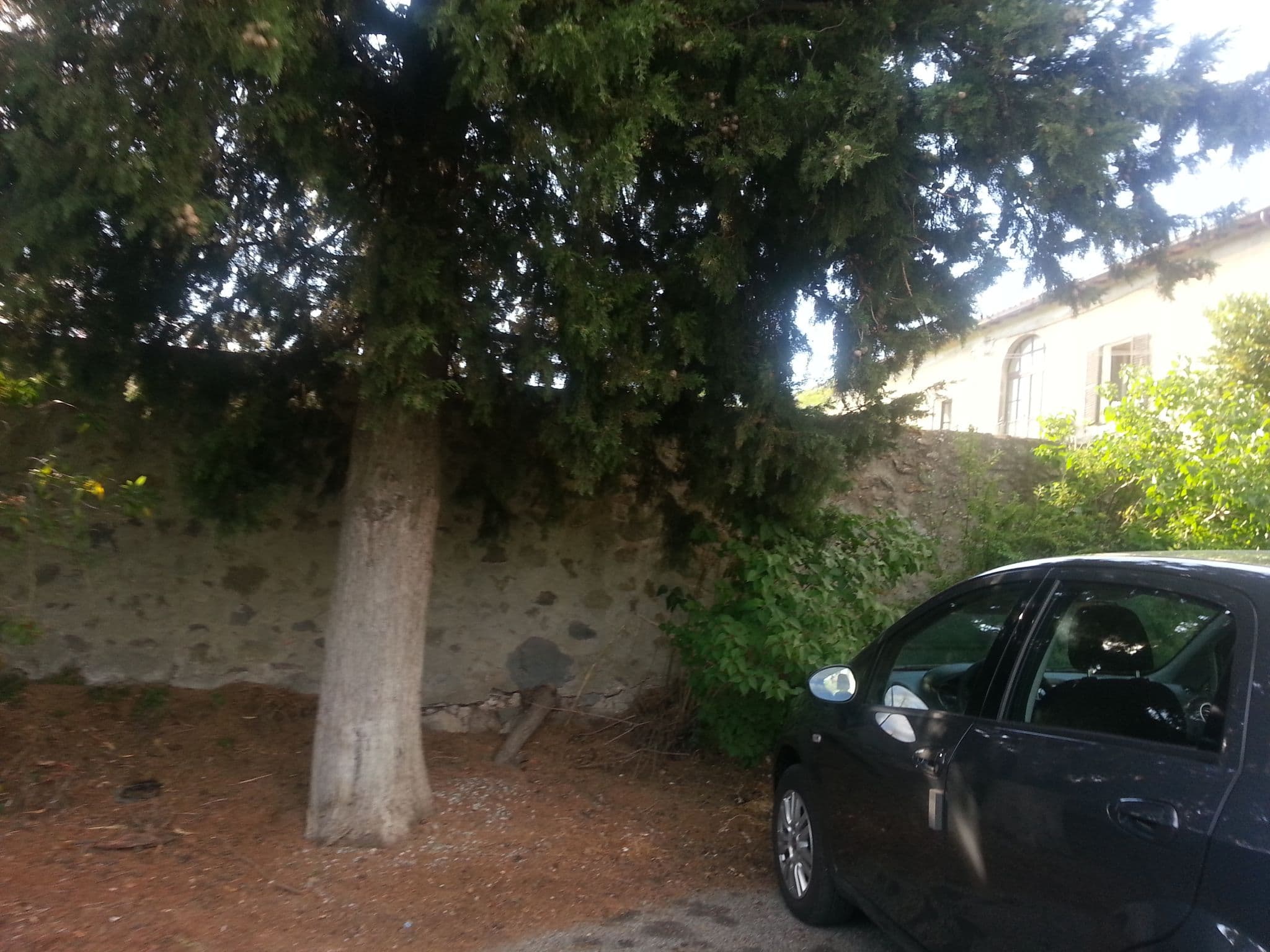 Street view near Convento Santa Maria del Giglio, Bolsena — © bluescreen (CC BY-SA · Mapillary)
