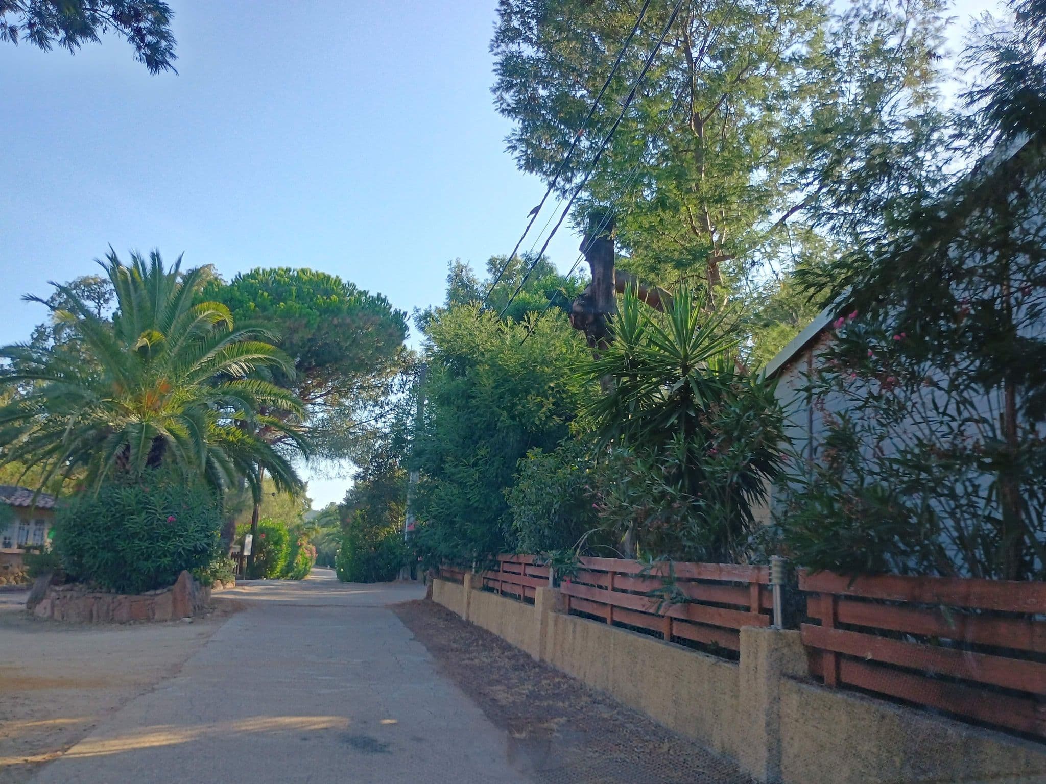 Street view near Camping Pitrera, Porto-Vecchio — © thetornado76 (CC BY-SA · Mapillary)