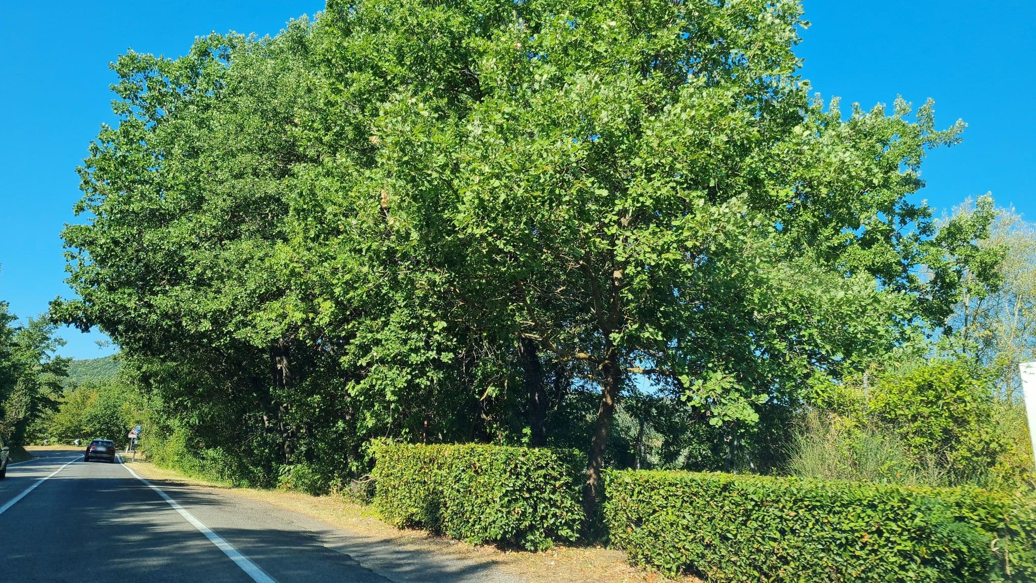 Street view near La Vittoria 10 - La Soglia della Val d'Orcia, Chianciano Terme — © laniuscollurio (CC BY-SA · Mapillary)