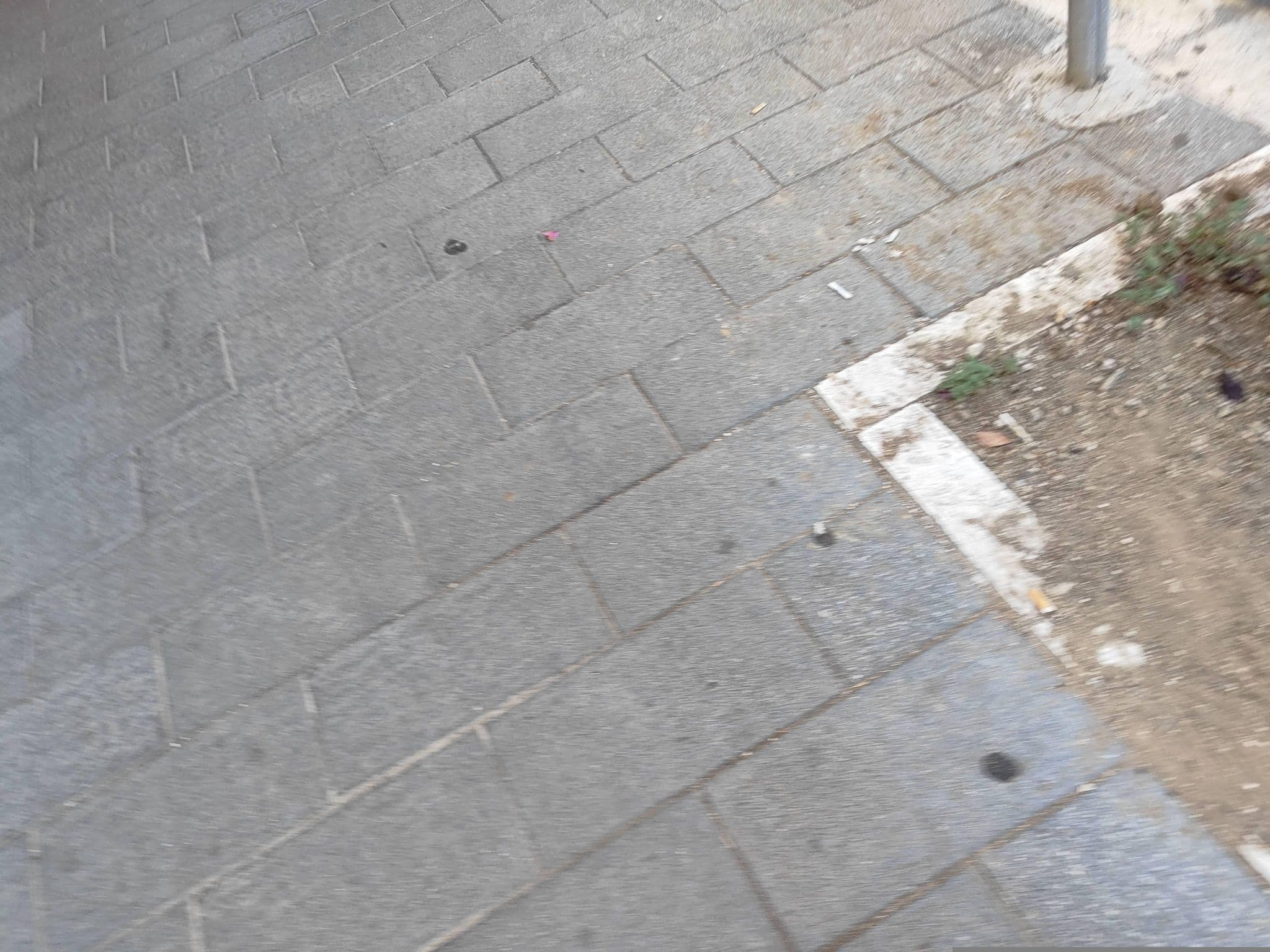 Street view near Green Corner, Trastevere — © omfg_notpr (CC BY-SA · Mapillary)