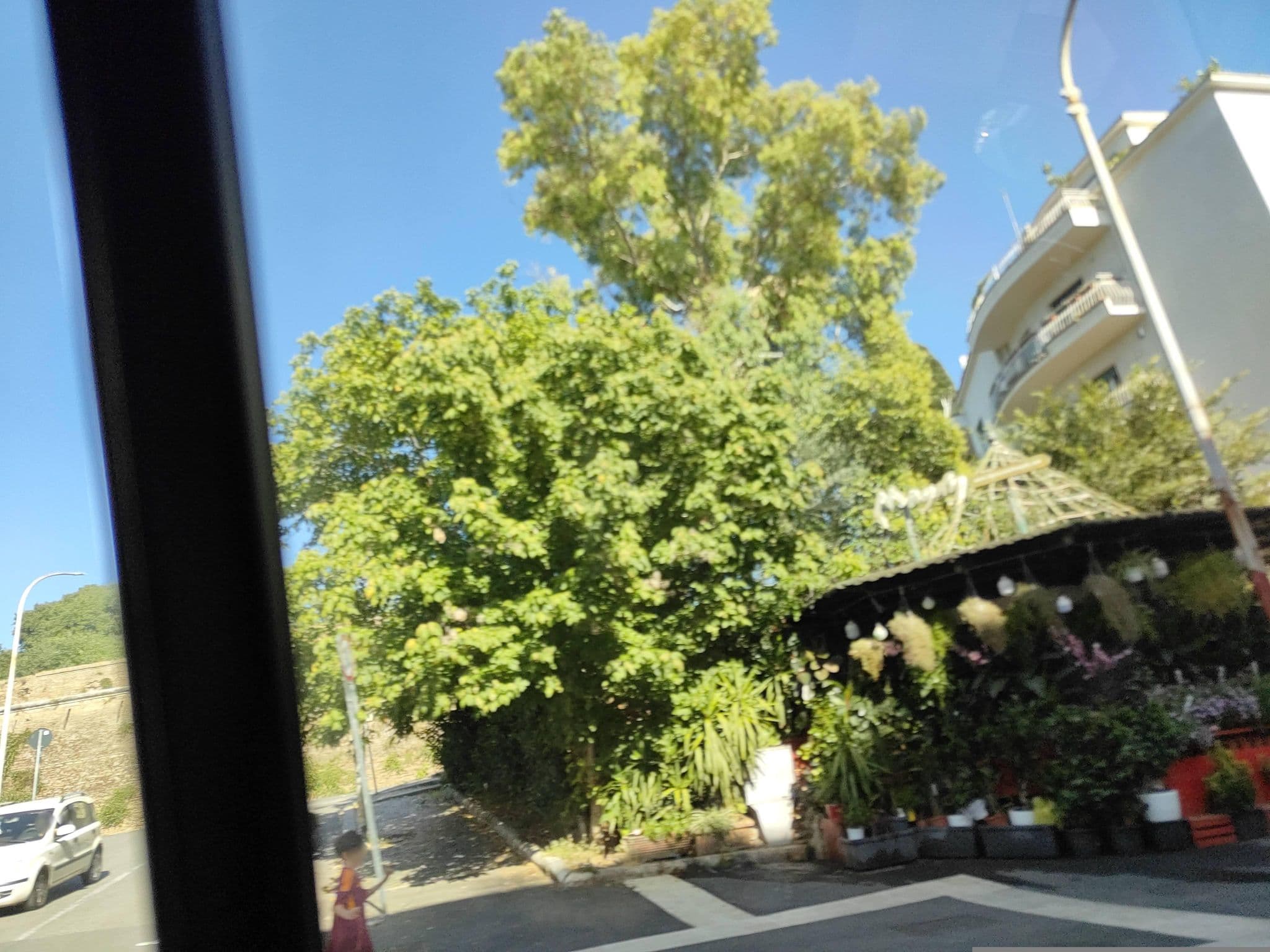 Street view near Italian Suites, Trastevere — © omfg_notpr (CC BY-SA · Mapillary)