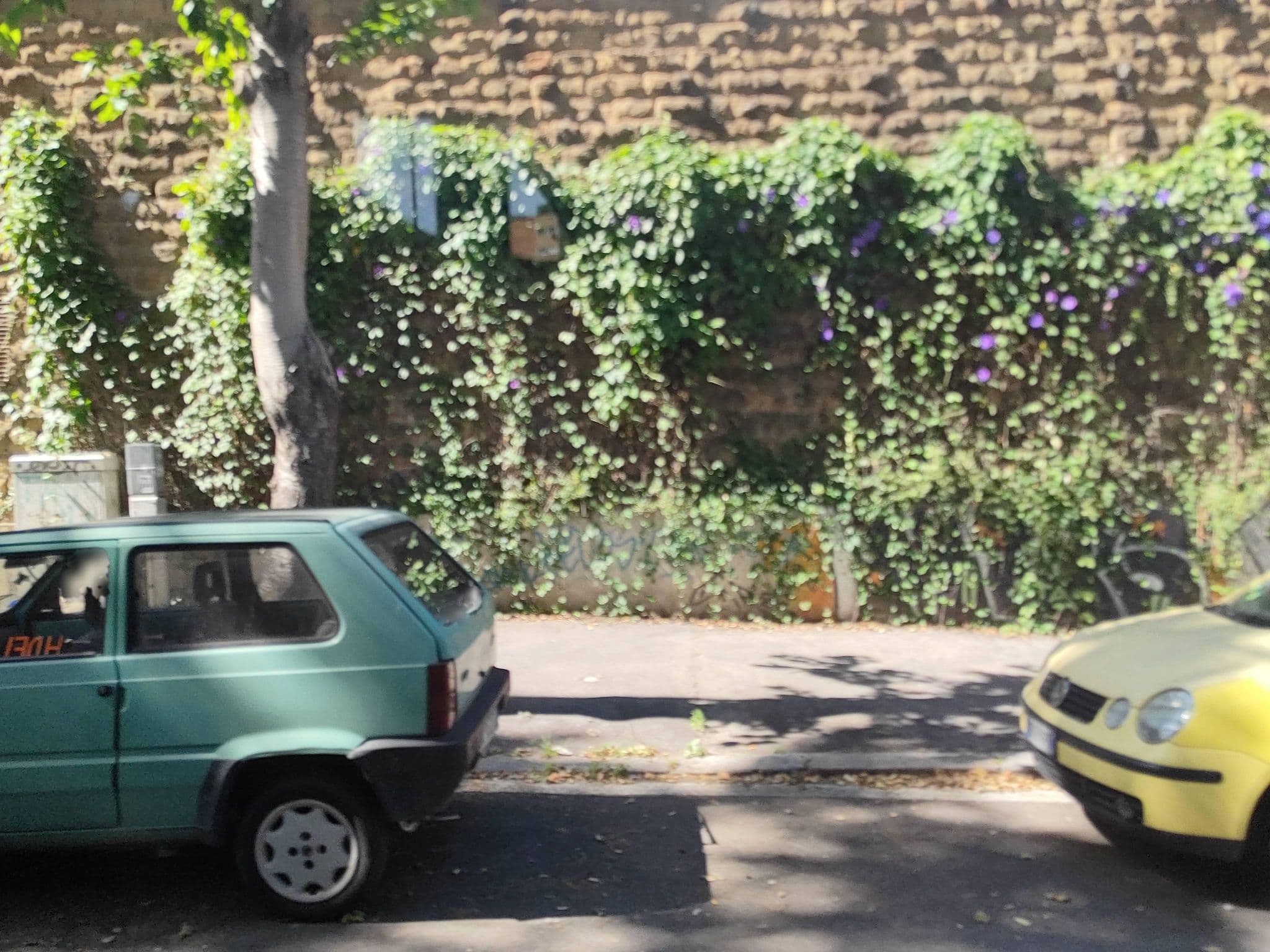 Street view near Cima Srls, Trastevere — © omfg_notpr (CC BY-SA · Mapillary)