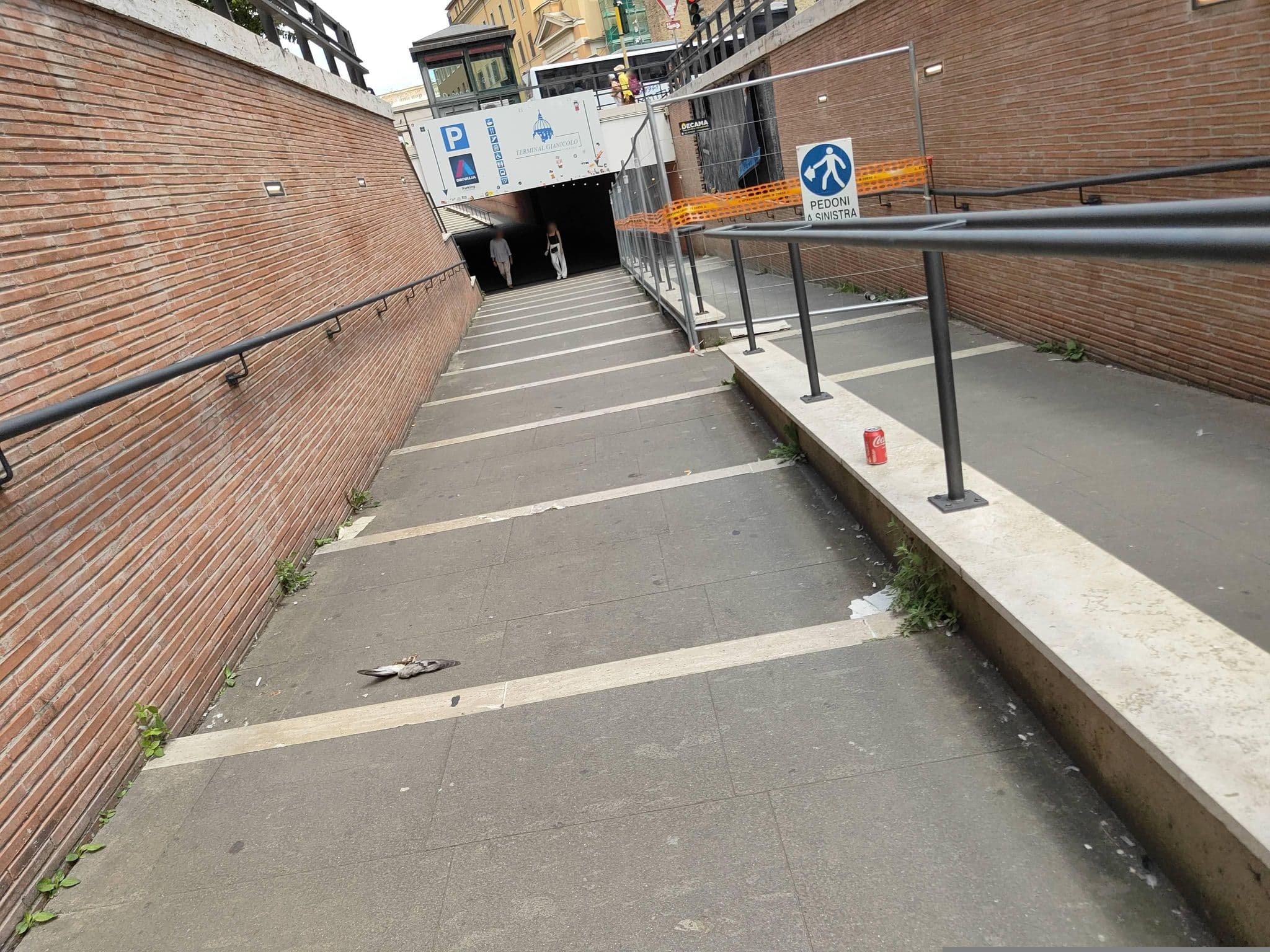 Street view near All'Ombra del Cupolone, Borgo — © omfg_notpr (CC BY-SA · Mapillary)