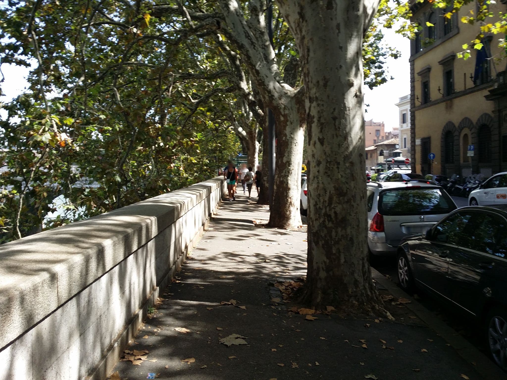Street view near Fraterna Domus, Parione — © aleksasfi (CC BY-SA · Mapillary)