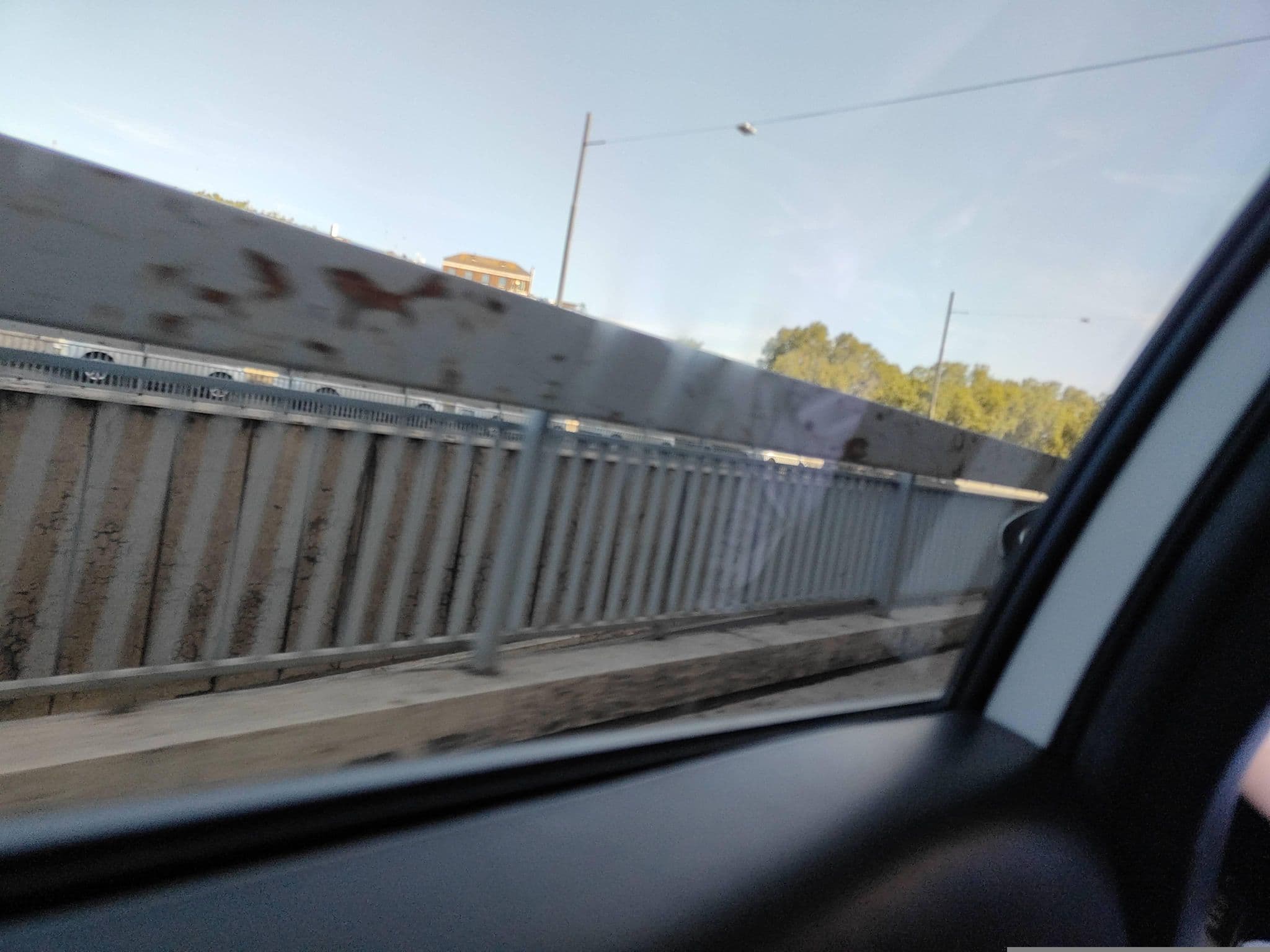 Street view near numero21 luxury guest house, Parione — © omfg_notpr (CC BY-SA · Mapillary)